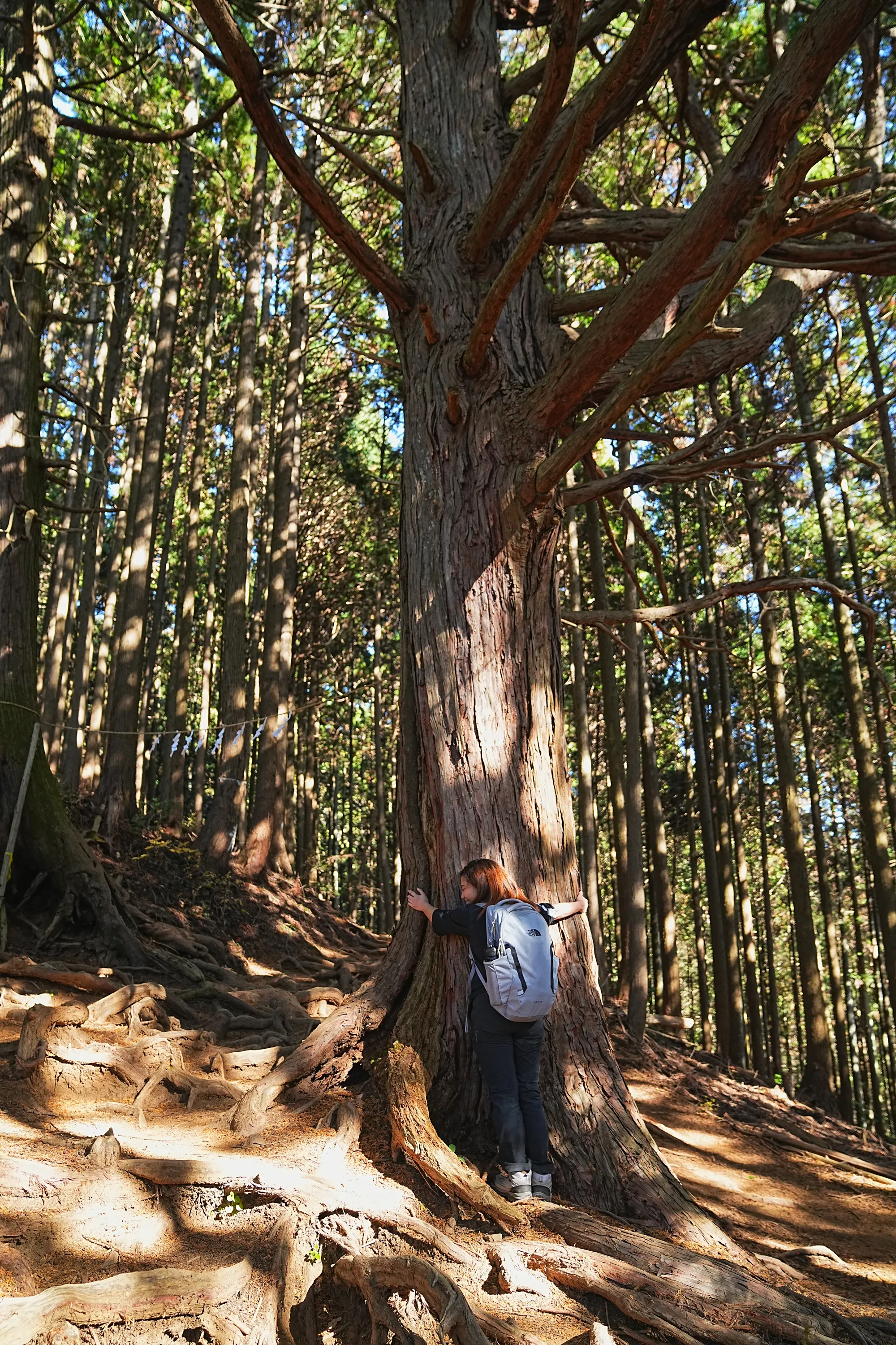 奥多摩・惣岳山へ、のんびりハイキング。
