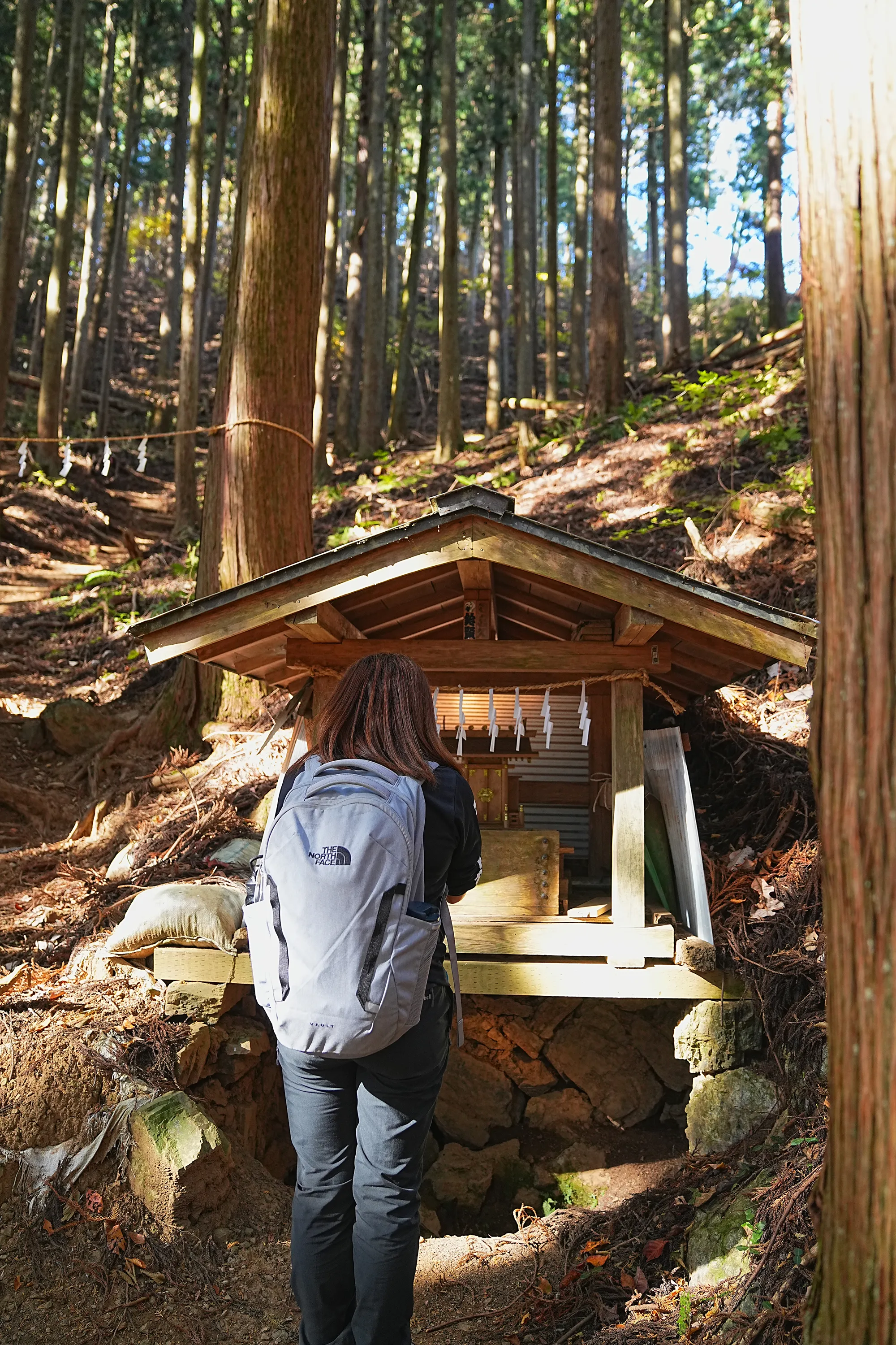 奥多摩・惣岳山へ、のんびりハイキング。
