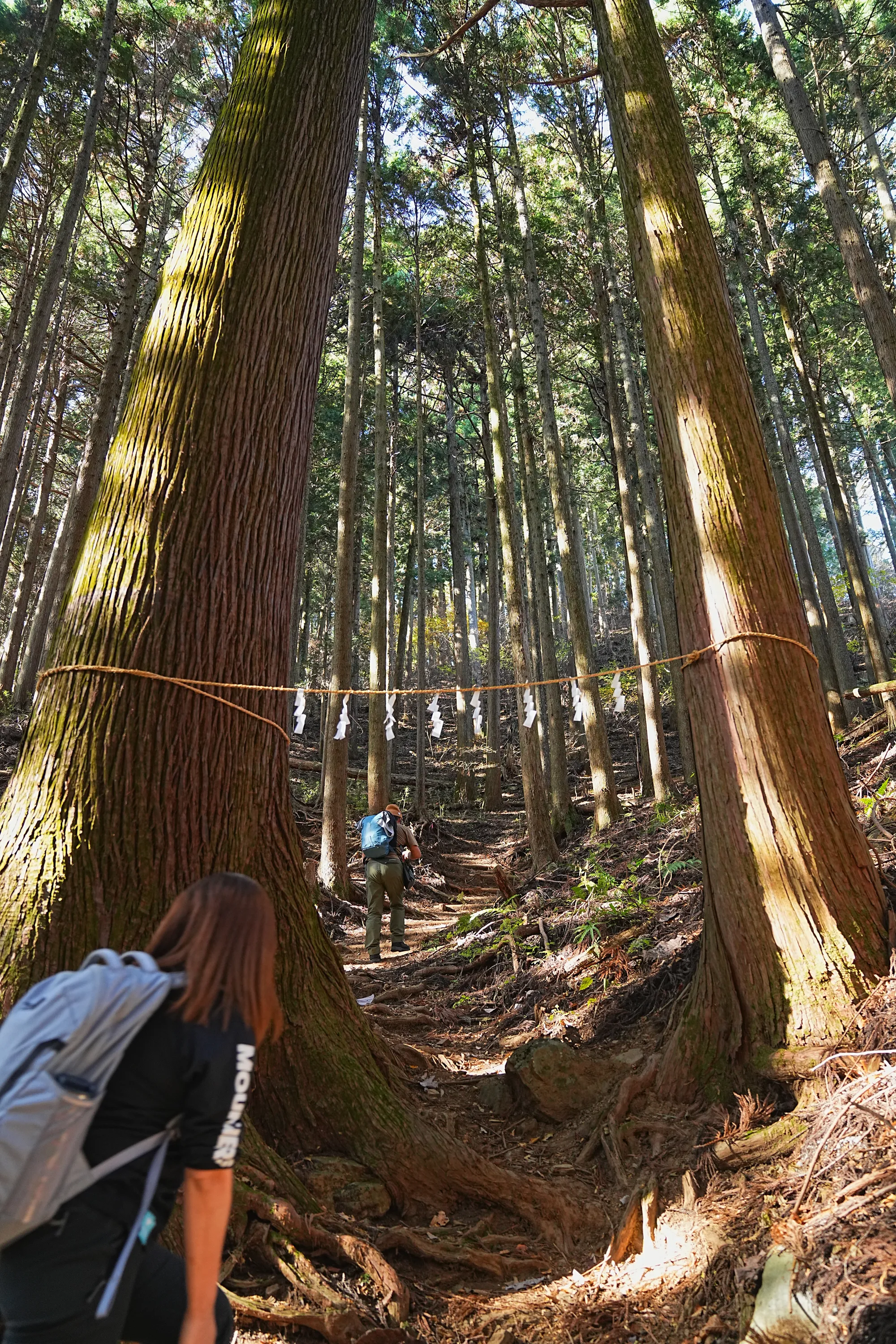 奥多摩・惣岳山へ、のんびりハイキング。