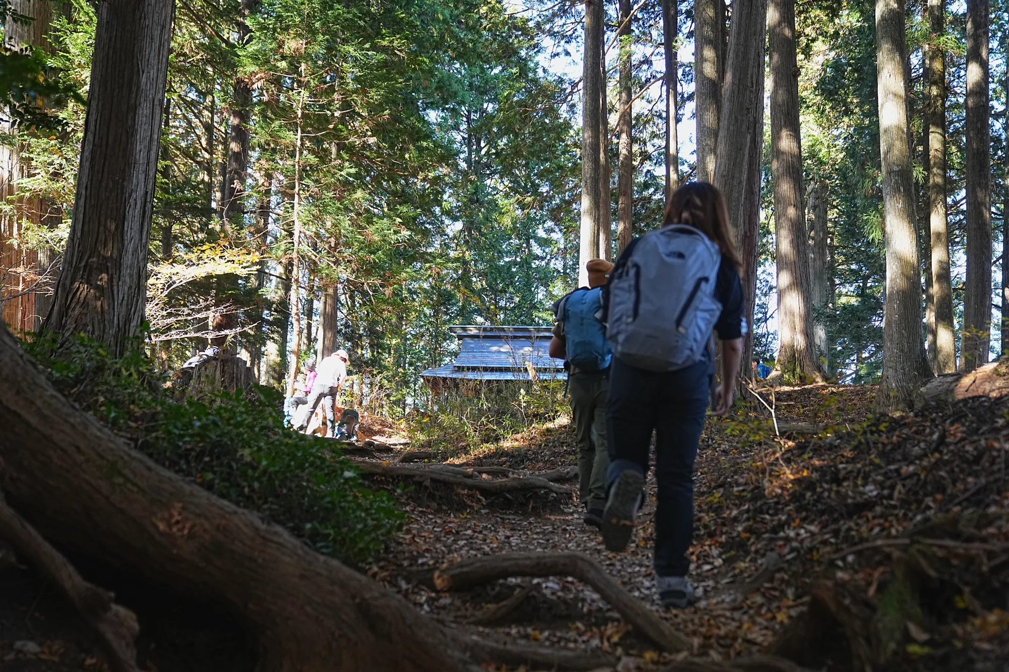 奥多摩・惣岳山へ、のんびりハイキング。
