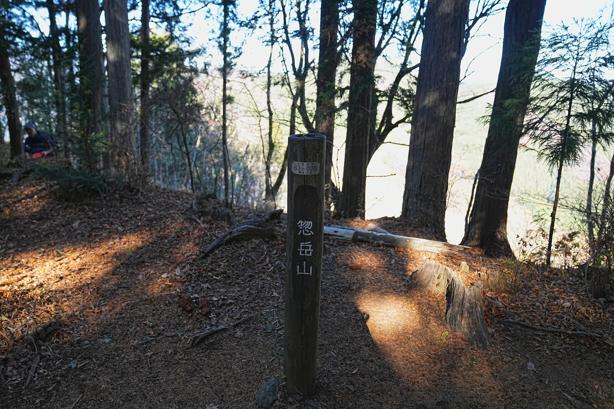 奥多摩・惣岳山へ、のんびりハイキング。