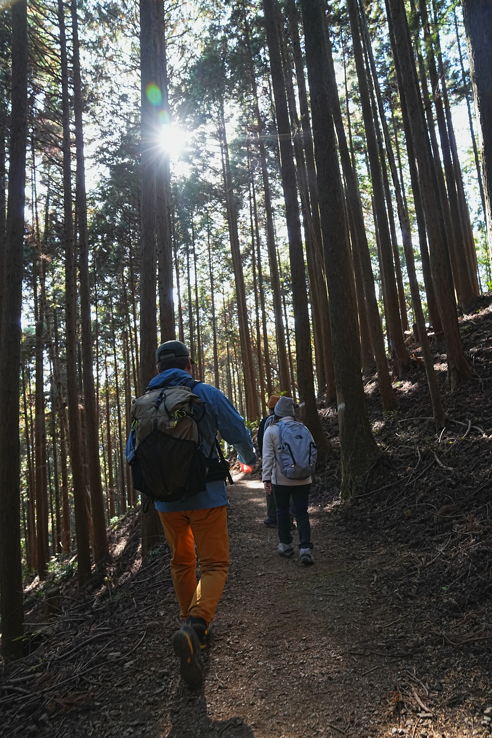 奥多摩・惣岳山へ、のんびりハイキング。