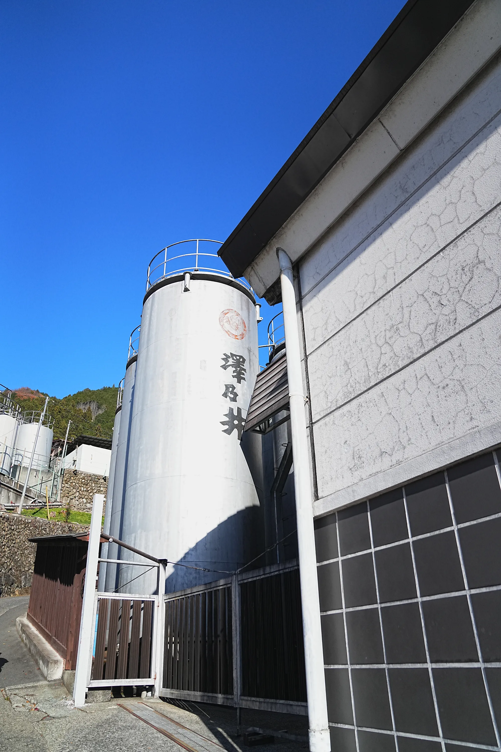 奥多摩・惣岳山へ、のんびりハイキング。