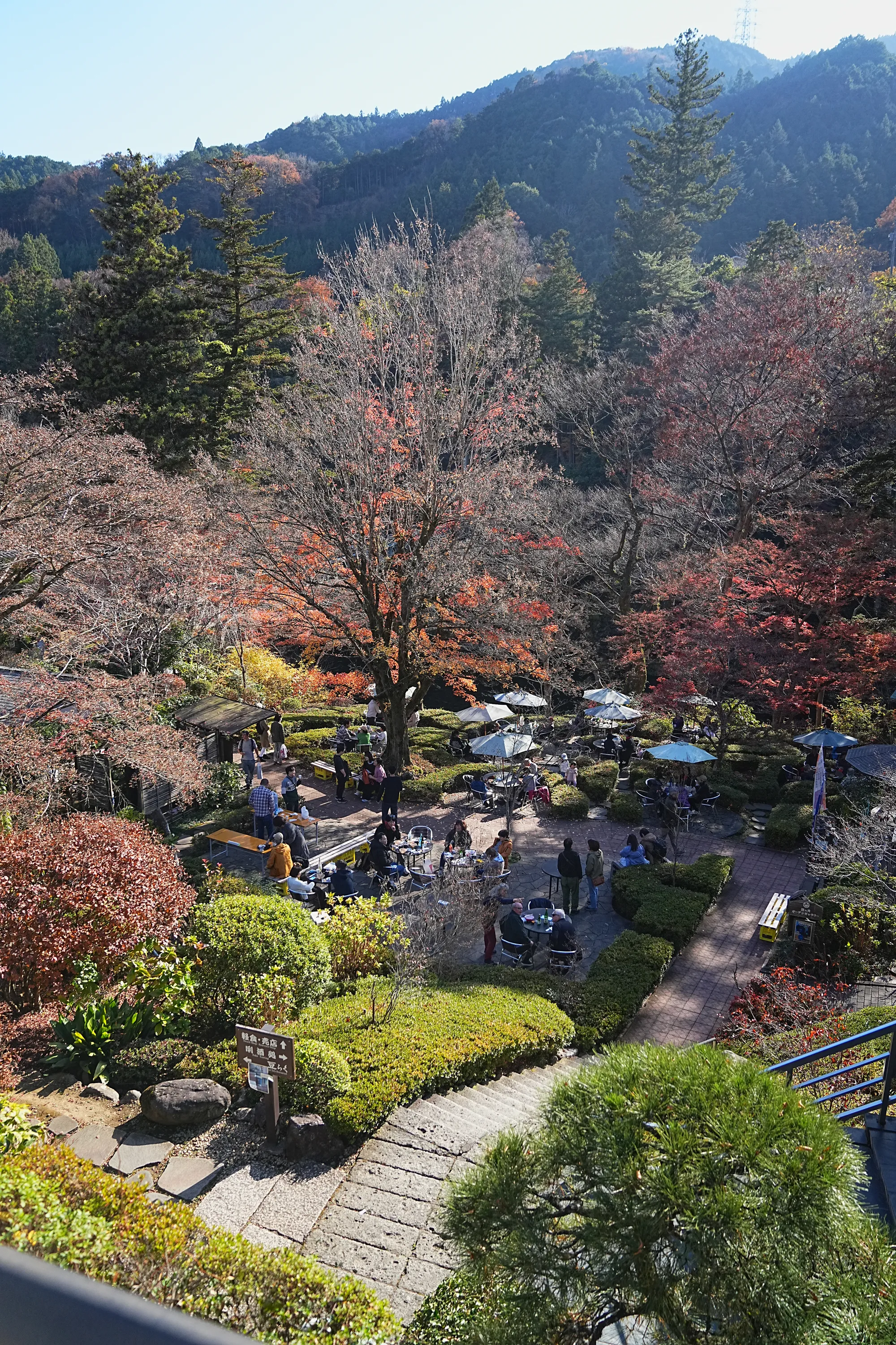 奥多摩・惣岳山へ、のんびりハイキング。