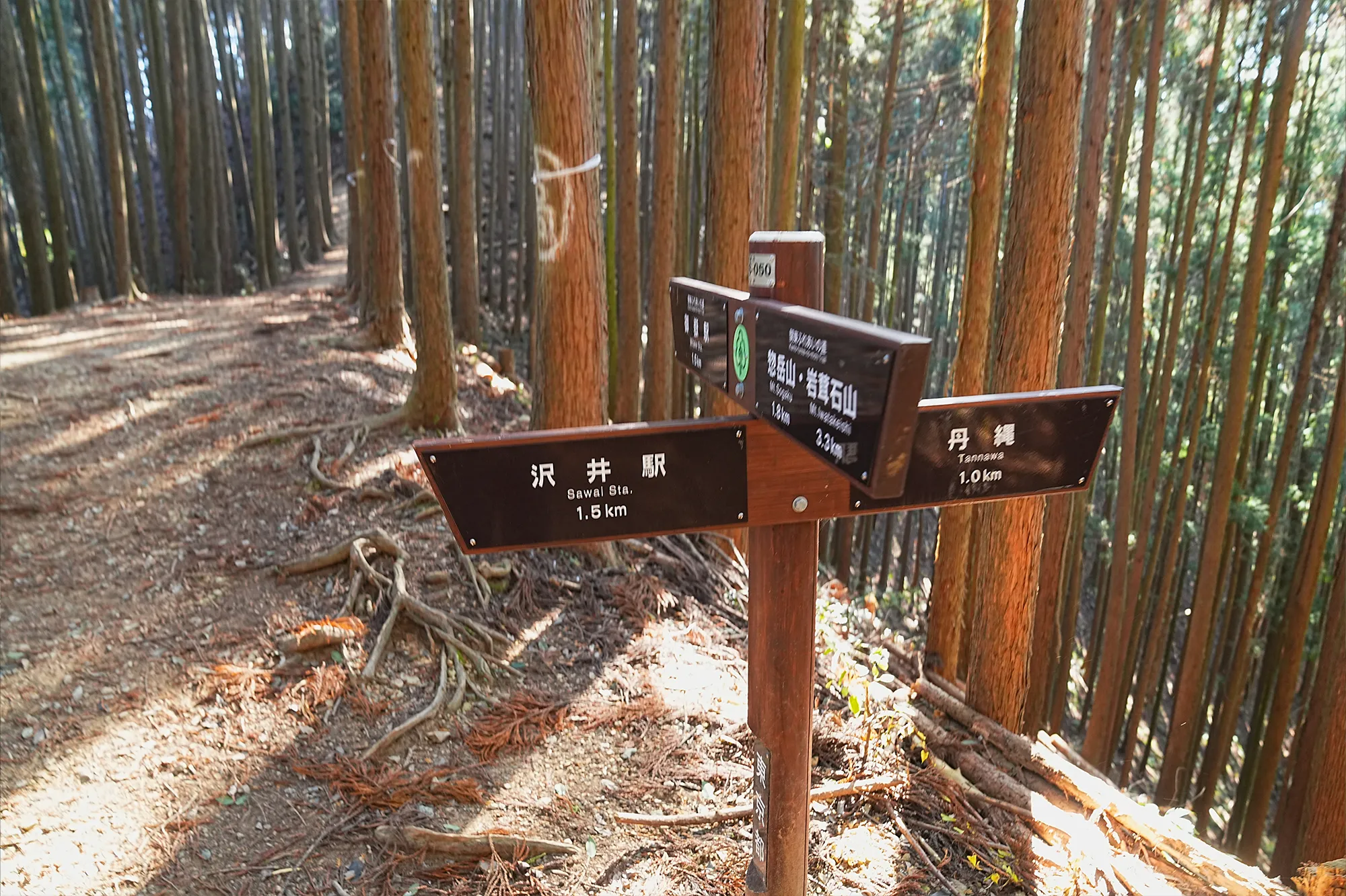 奥多摩・惣岳山へ、のんびりハイキング。