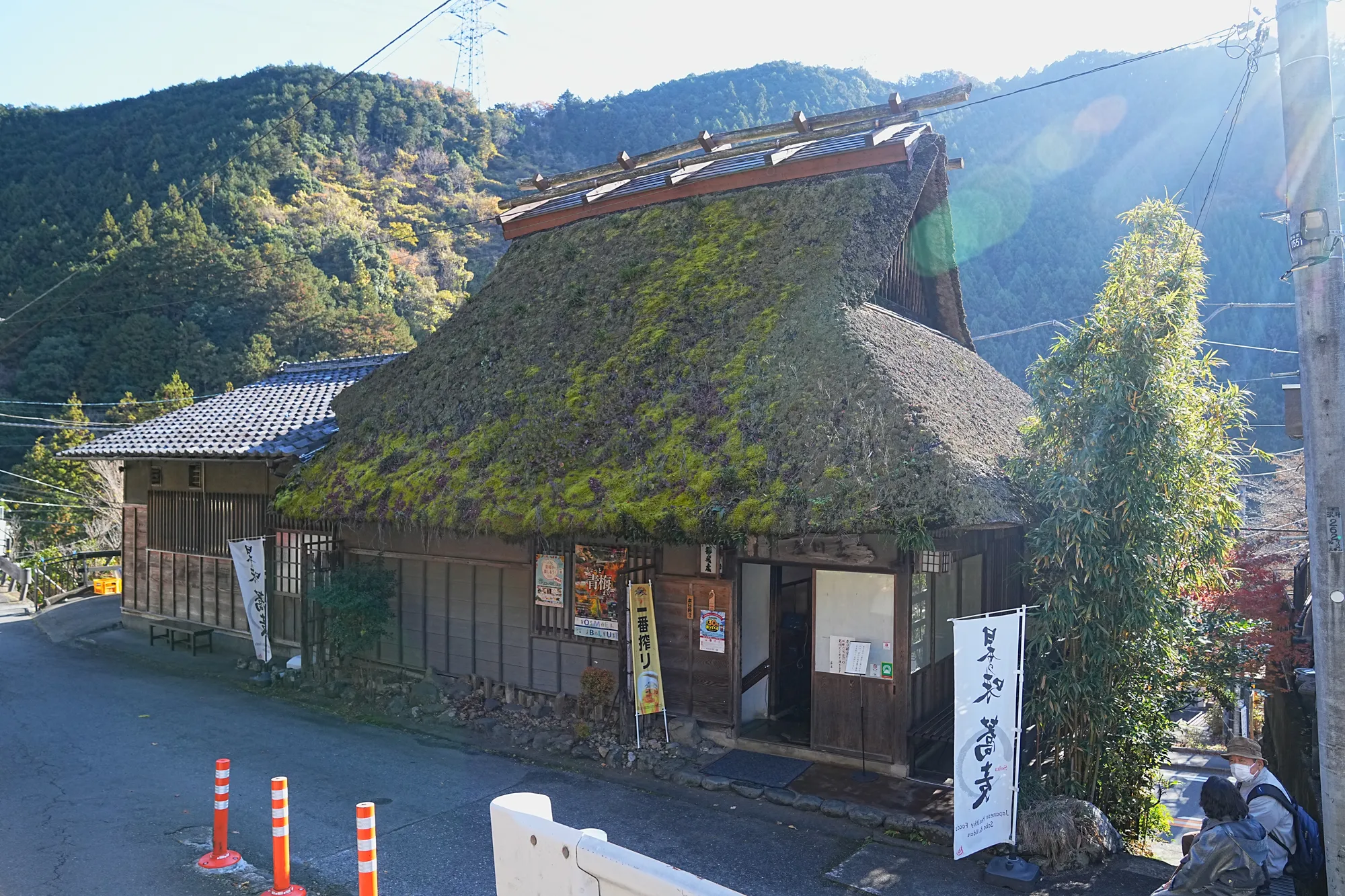 奥多摩・惣岳山へ、のんびりハイキング。
