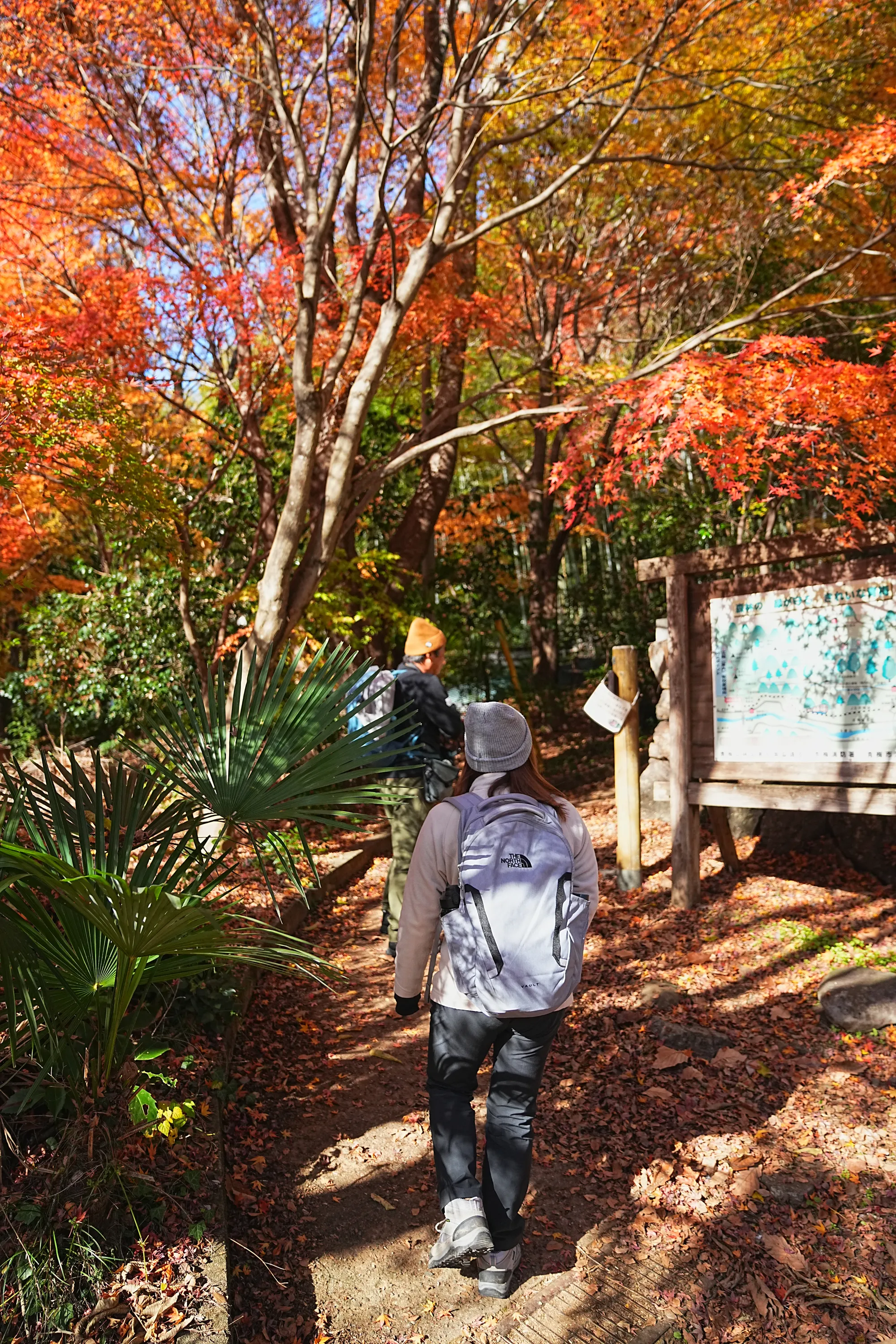 奥多摩・惣岳山へ、のんびりハイキング。