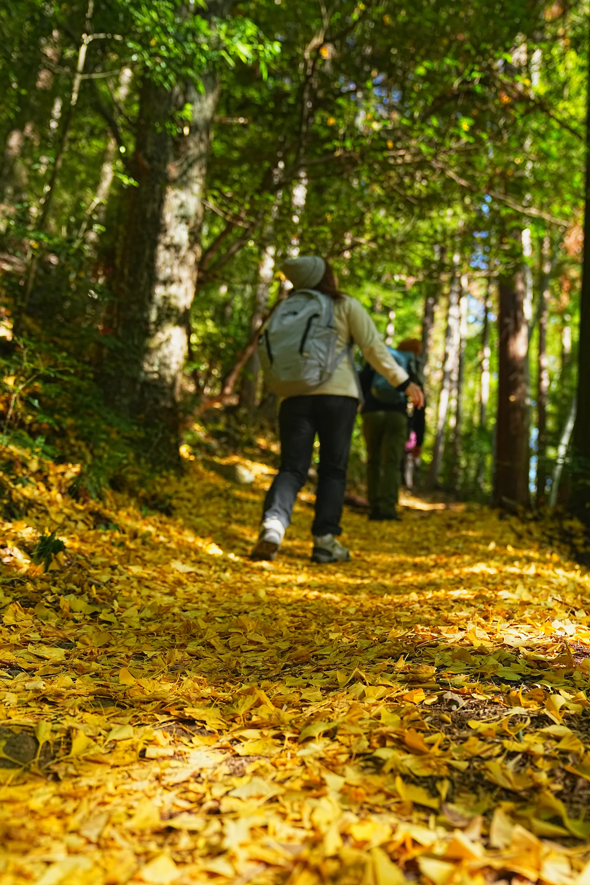 奥多摩・惣岳山へ、のんびりハイキング。