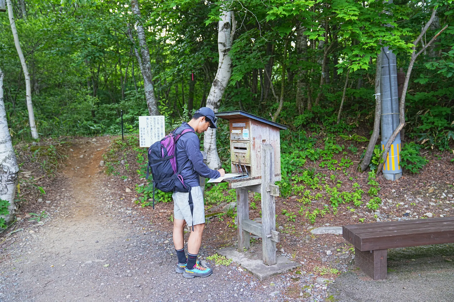 花の百名山 平標山（たいらっぴょうやま）お花登山