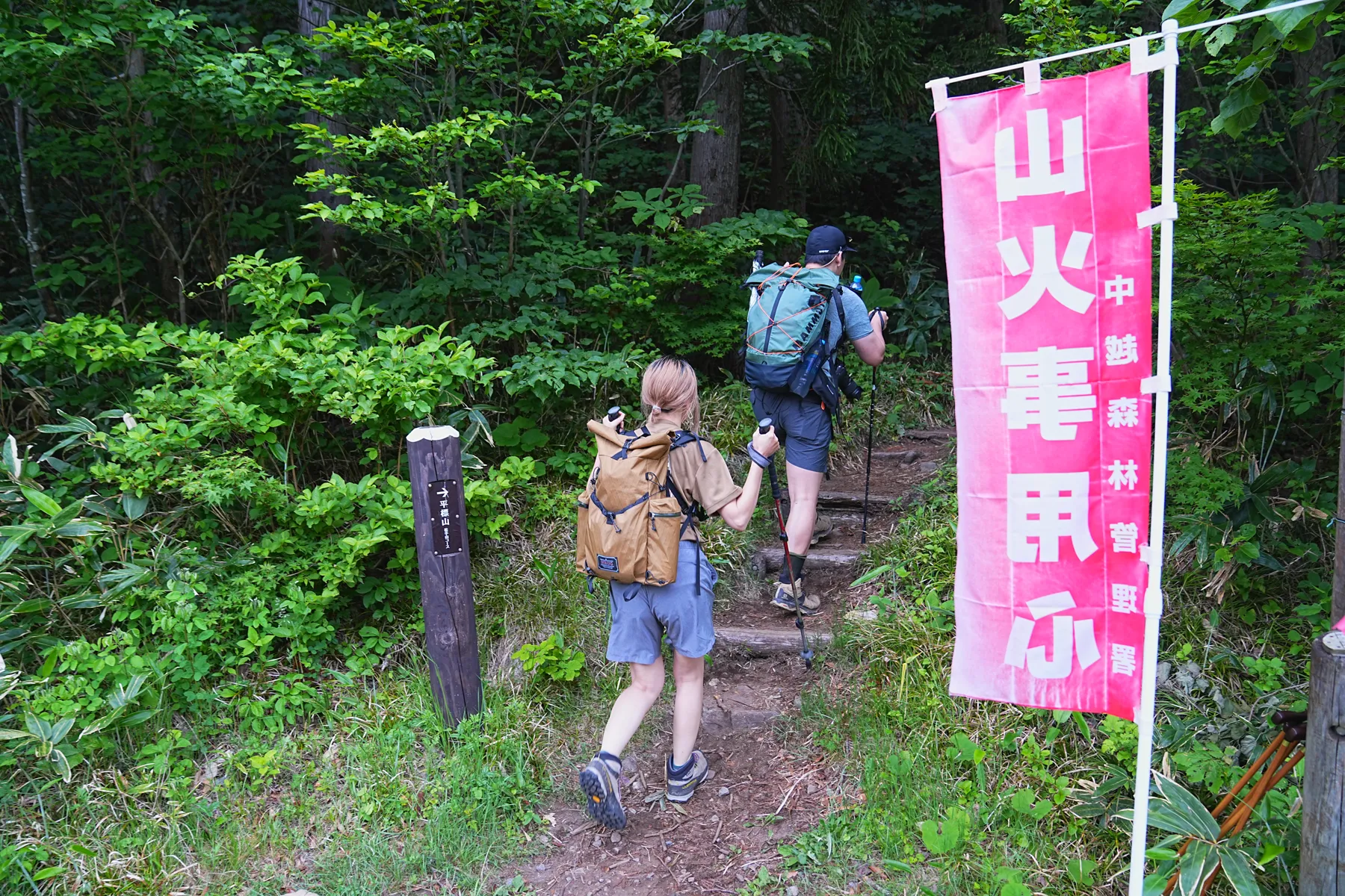 花の百名山 平標山（たいらっぴょうやま）お花登山