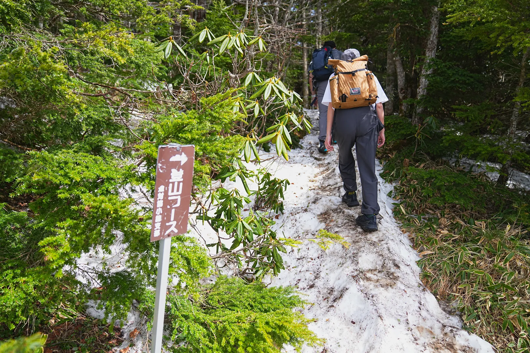  ゴールデンウィーク 高峰温泉宿泊レポート。