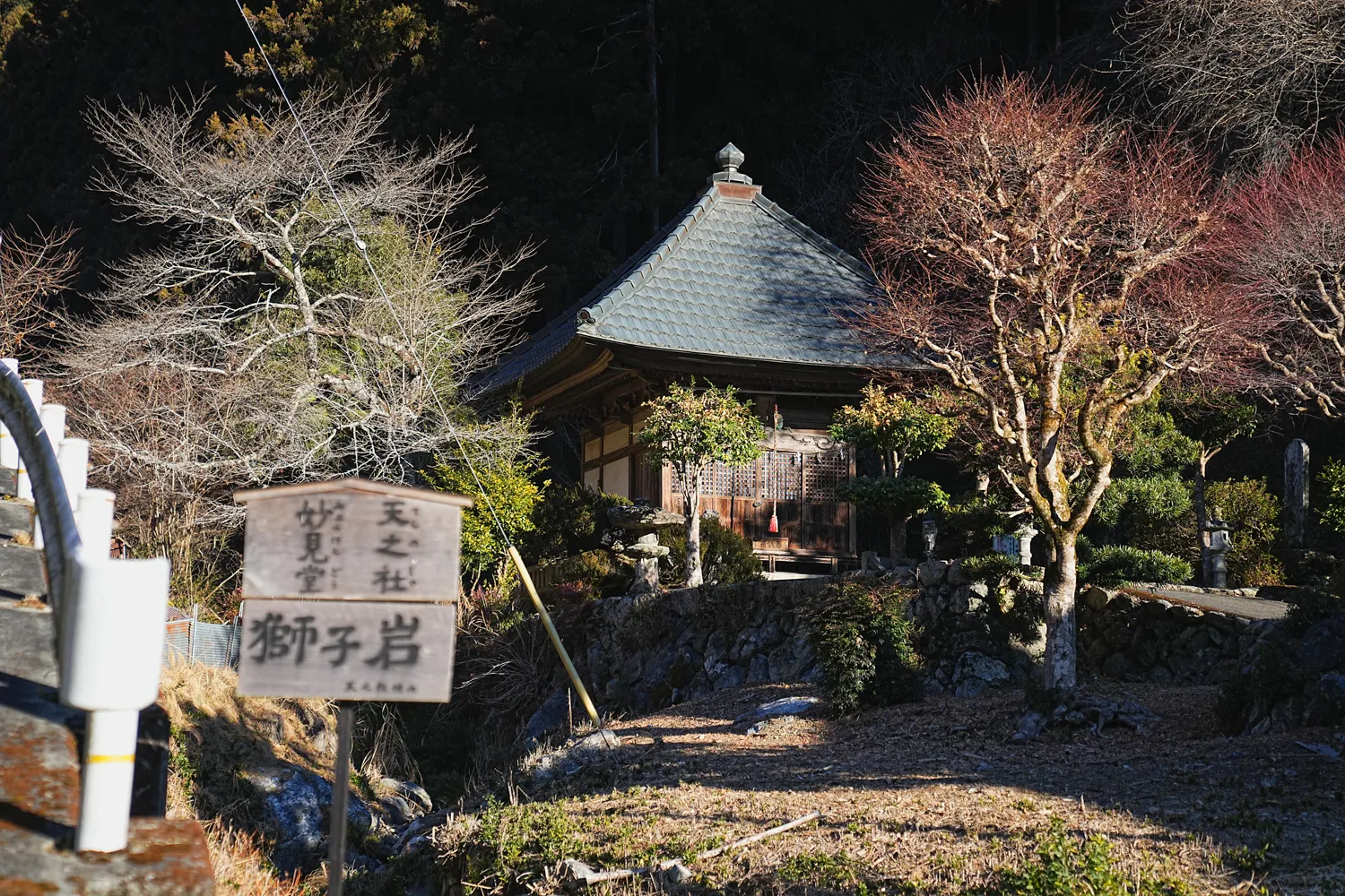 奥多摩 高水三山をのんびりグルッと登山