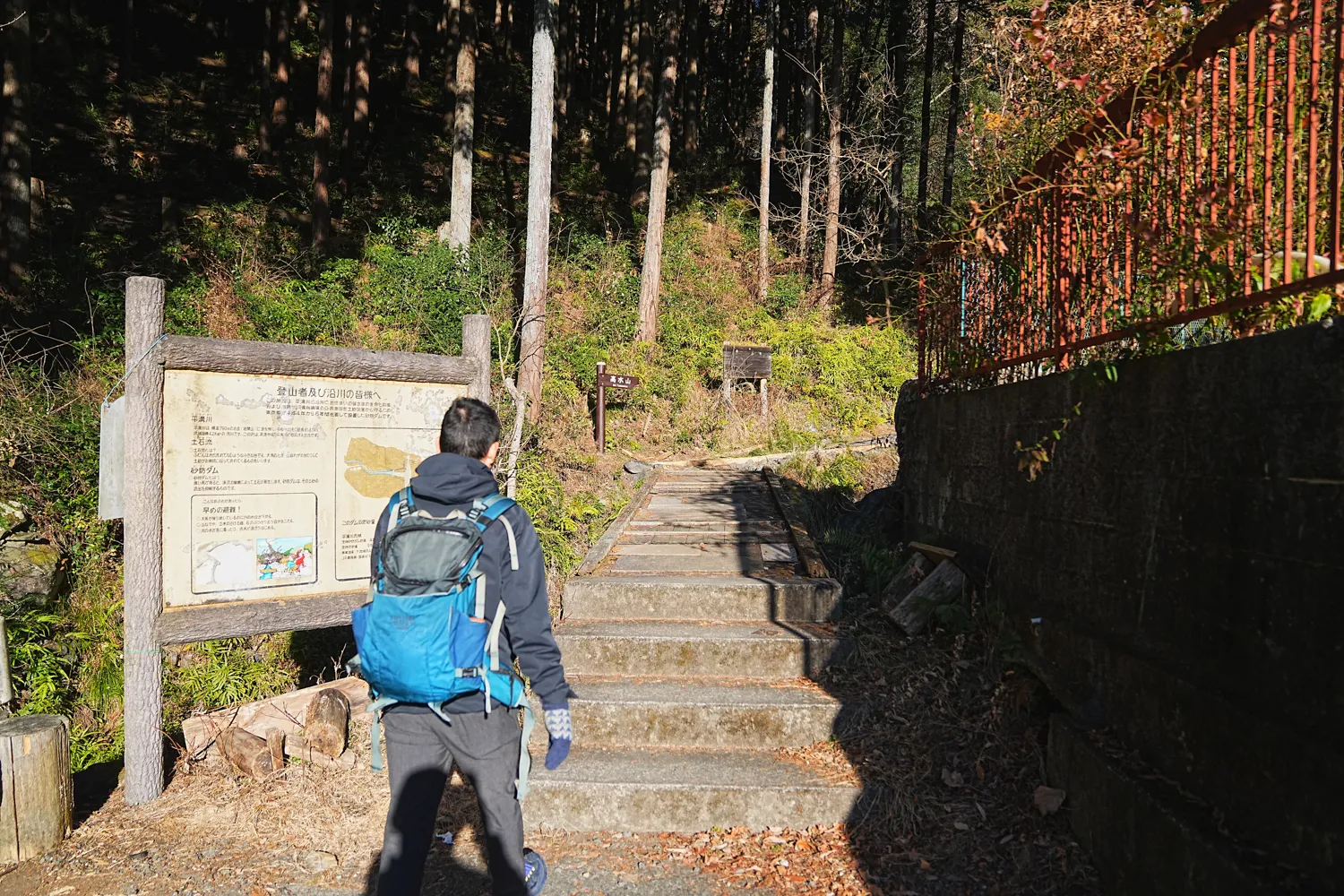奥多摩 高水三山をのんびりグルッと登山