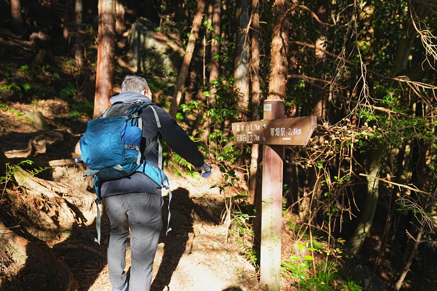 奥多摩 高水三山をのんびりグルッと登山