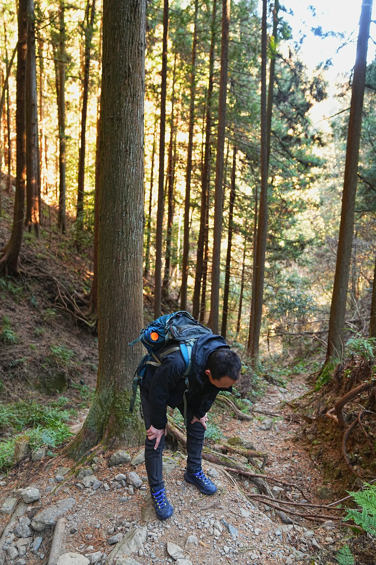 奥多摩 高水三山をのんびりグルッと登山