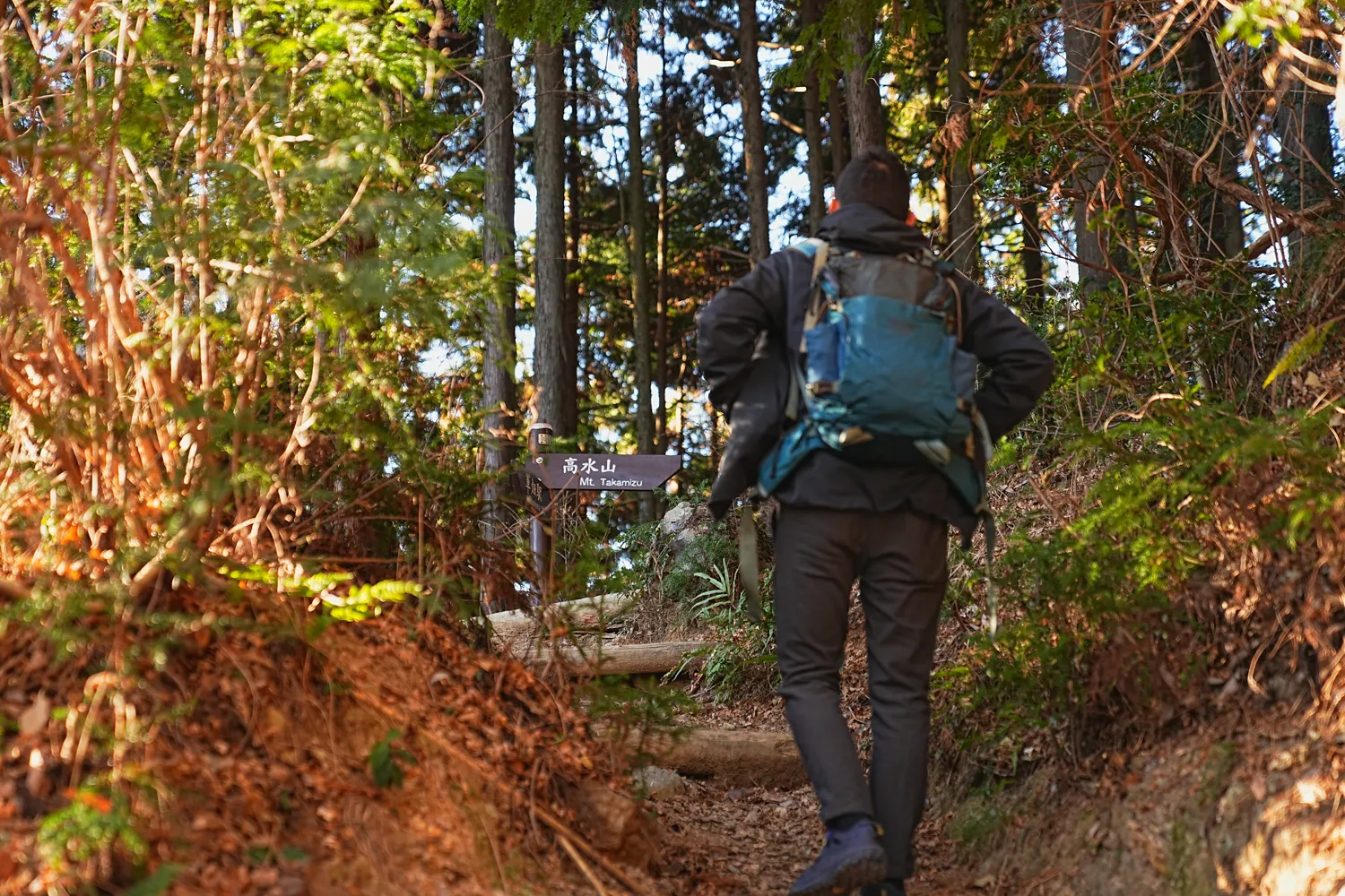 奥多摩 高水三山をのんびりグルッと登山