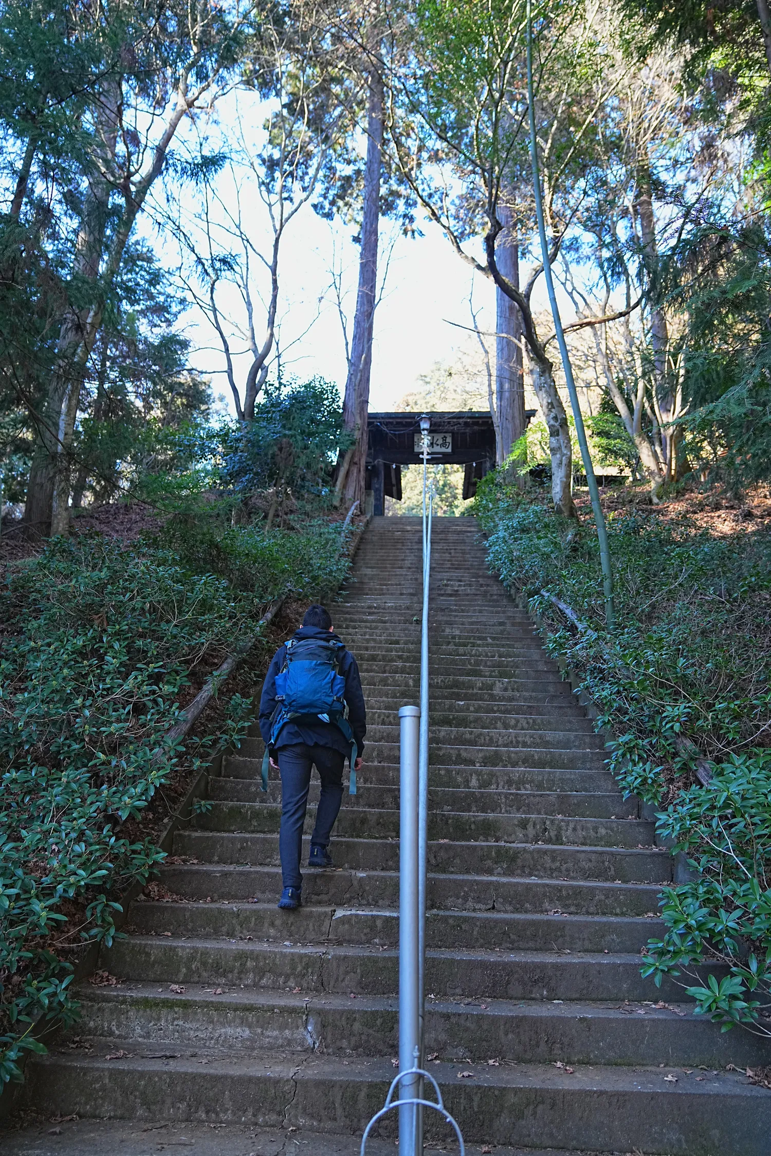 奥多摩 高水三山をのんびりグルッと登山