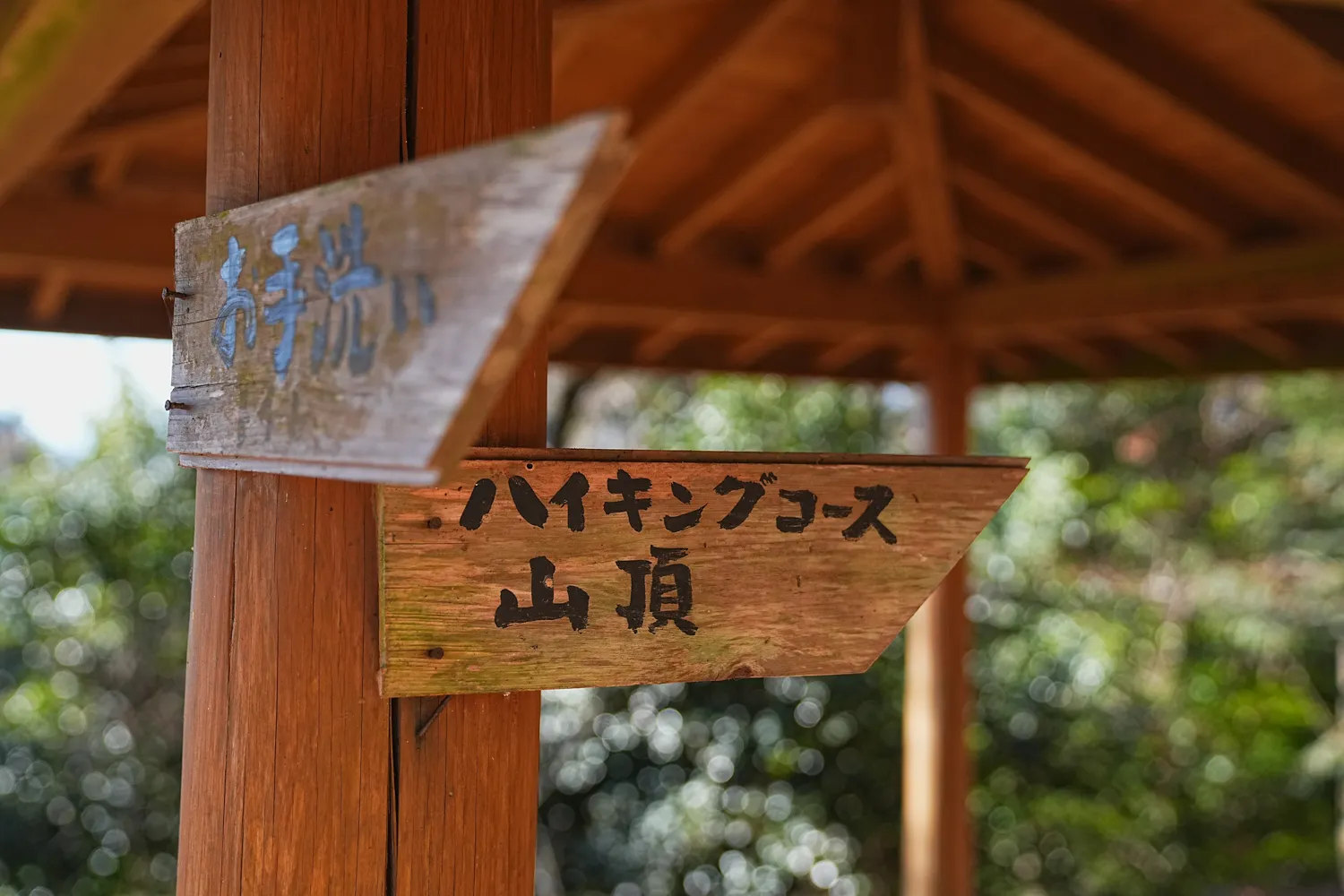 奥多摩 高水三山をのんびりグルッと登山