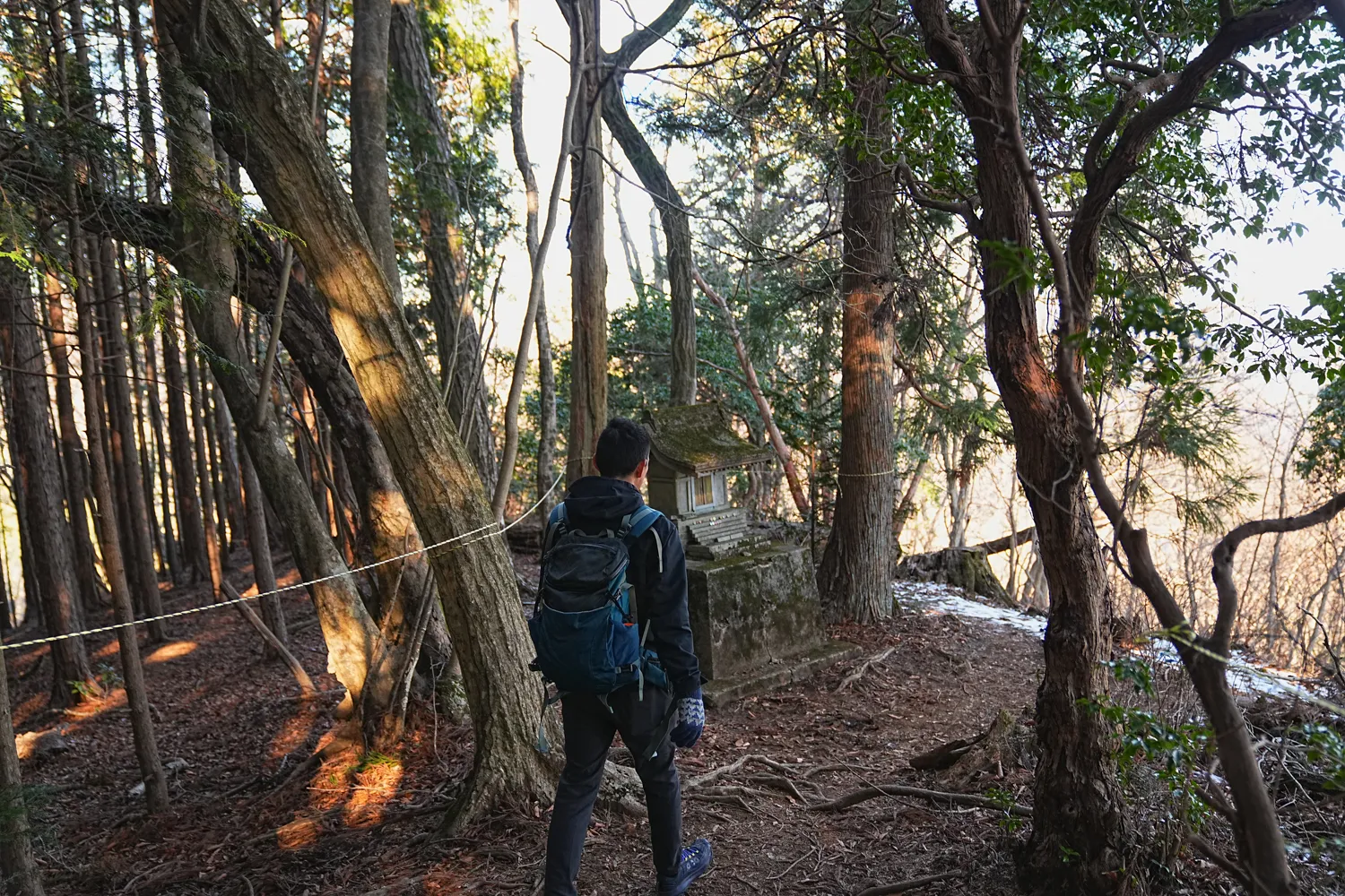 奥多摩 高水三山をのんびりグルッと登山