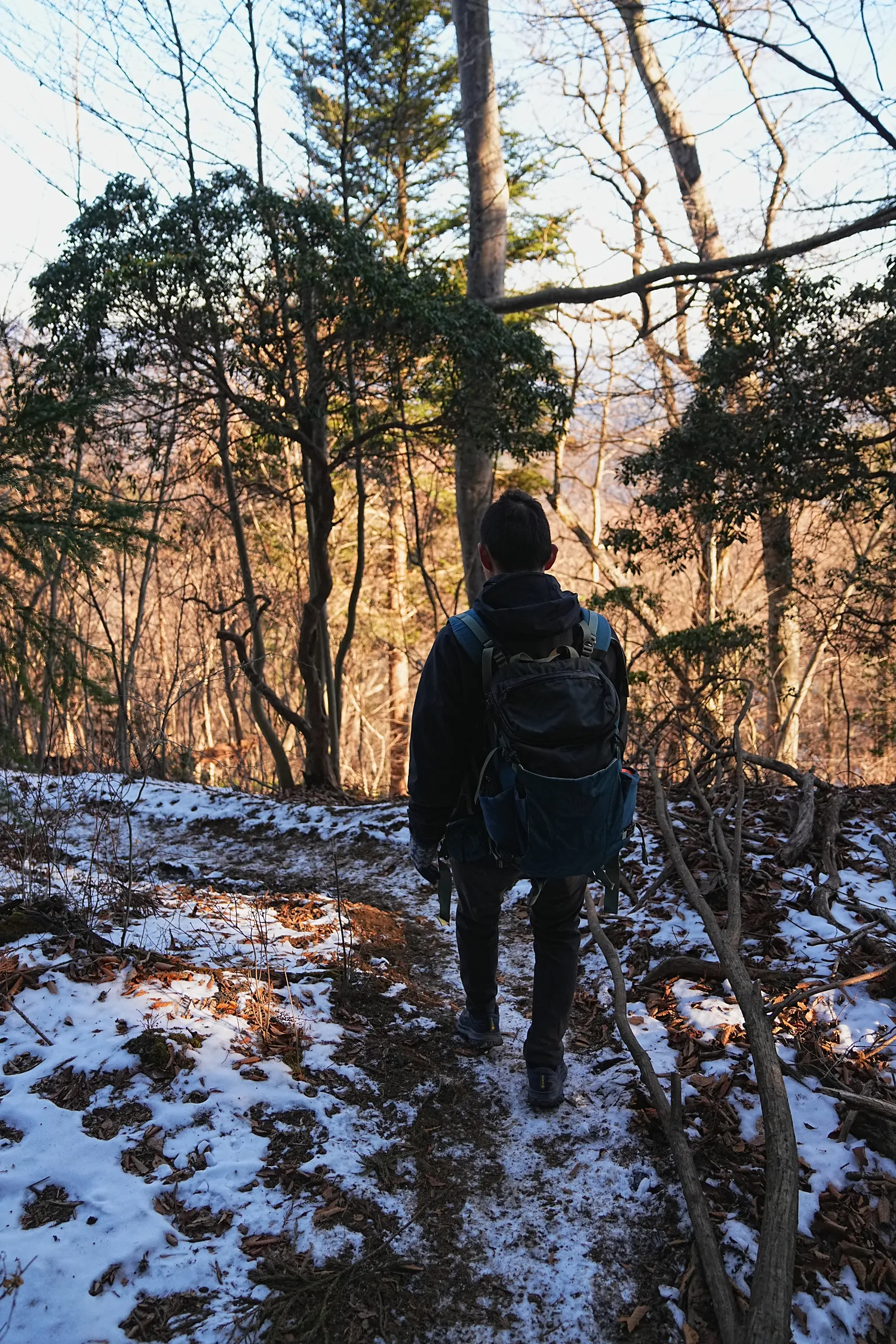 奥多摩 高水三山をのんびりグルッと登山