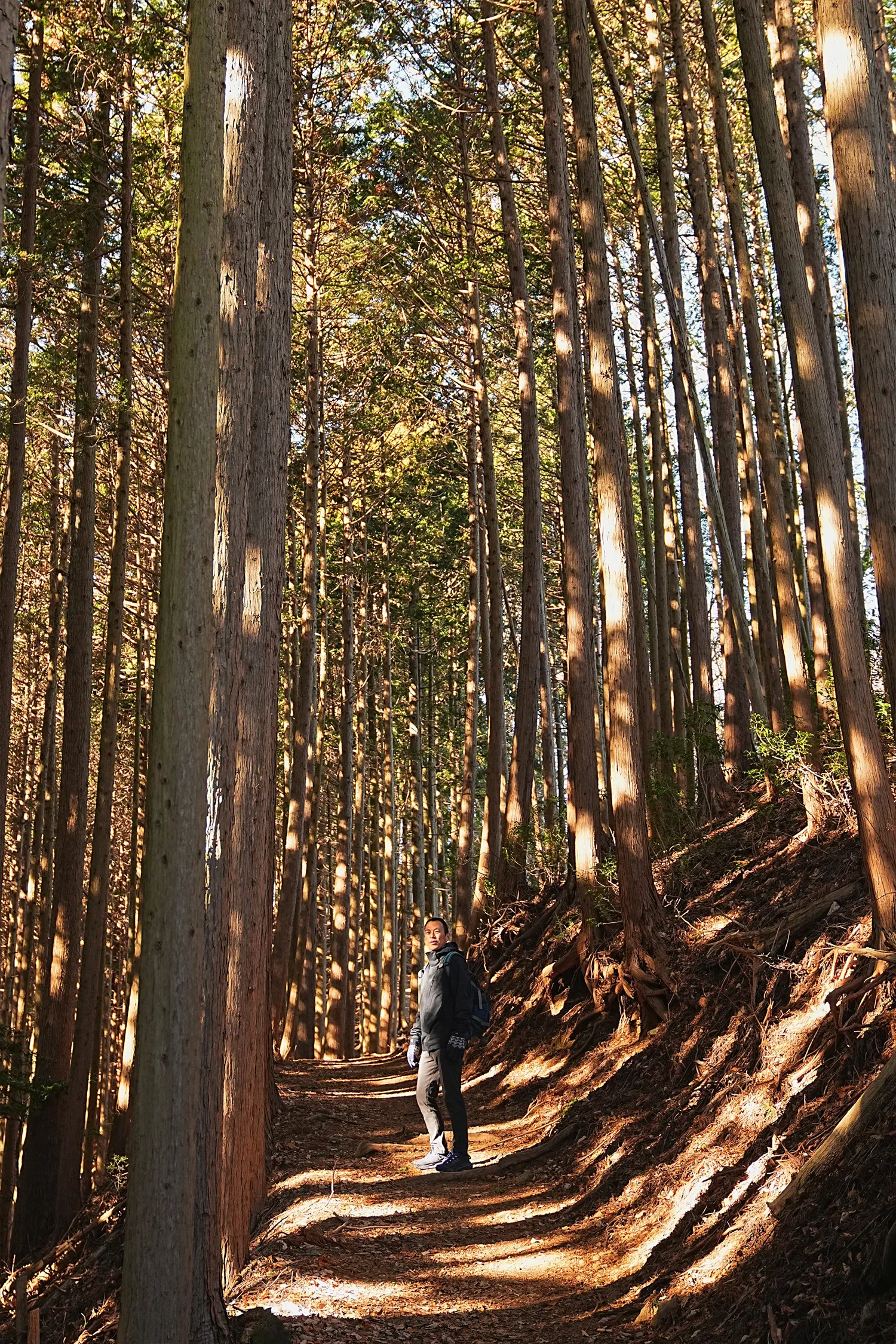奥多摩 高水三山をのんびりグルッと登山