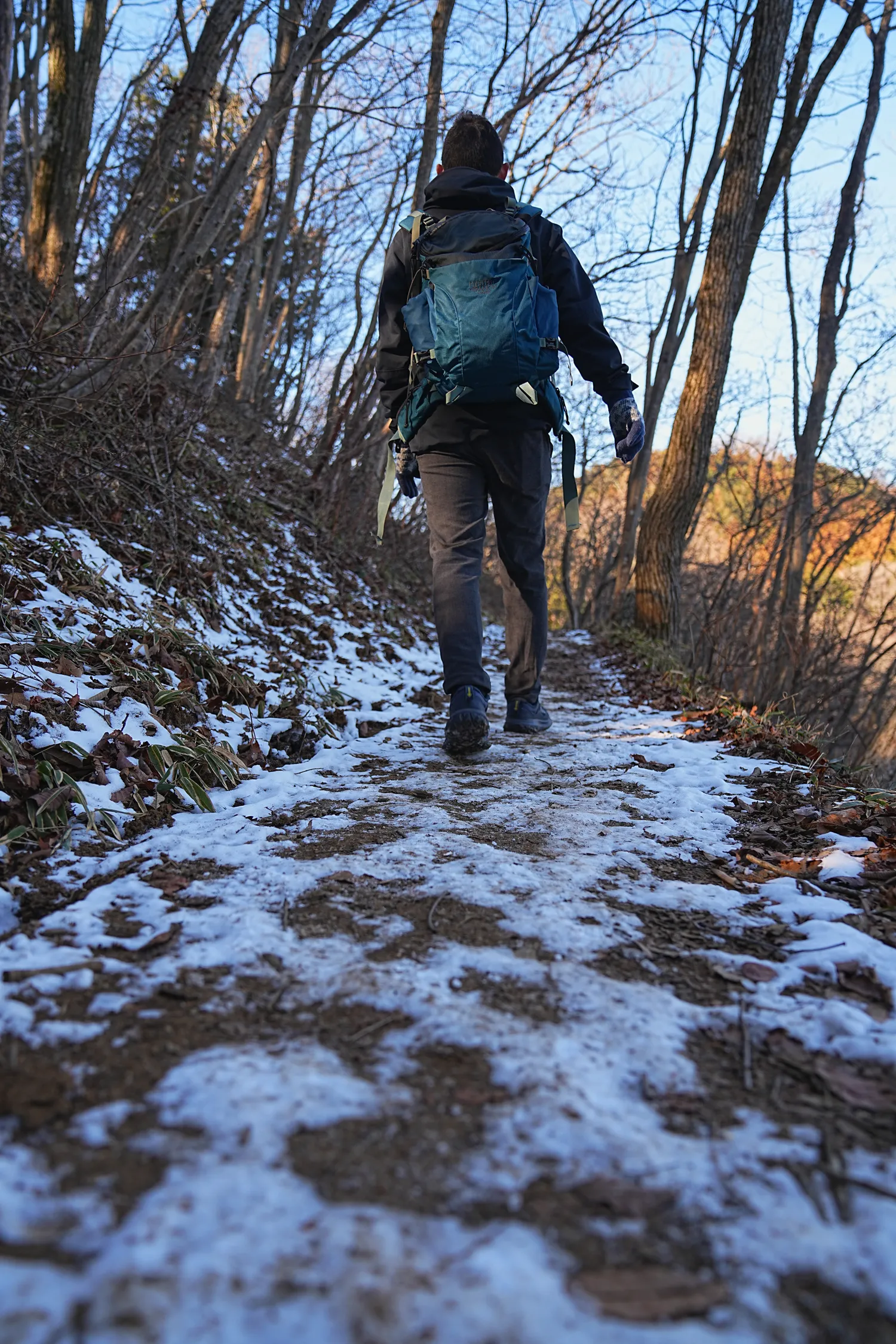 奥多摩 高水三山をのんびりグルッと登山