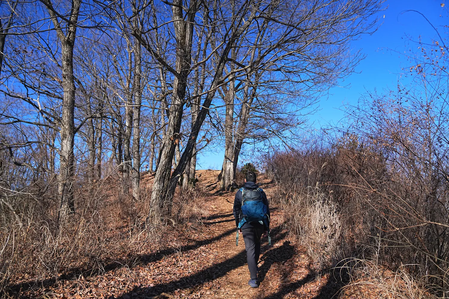 奥多摩 高水三山をのんびりグルッと登山