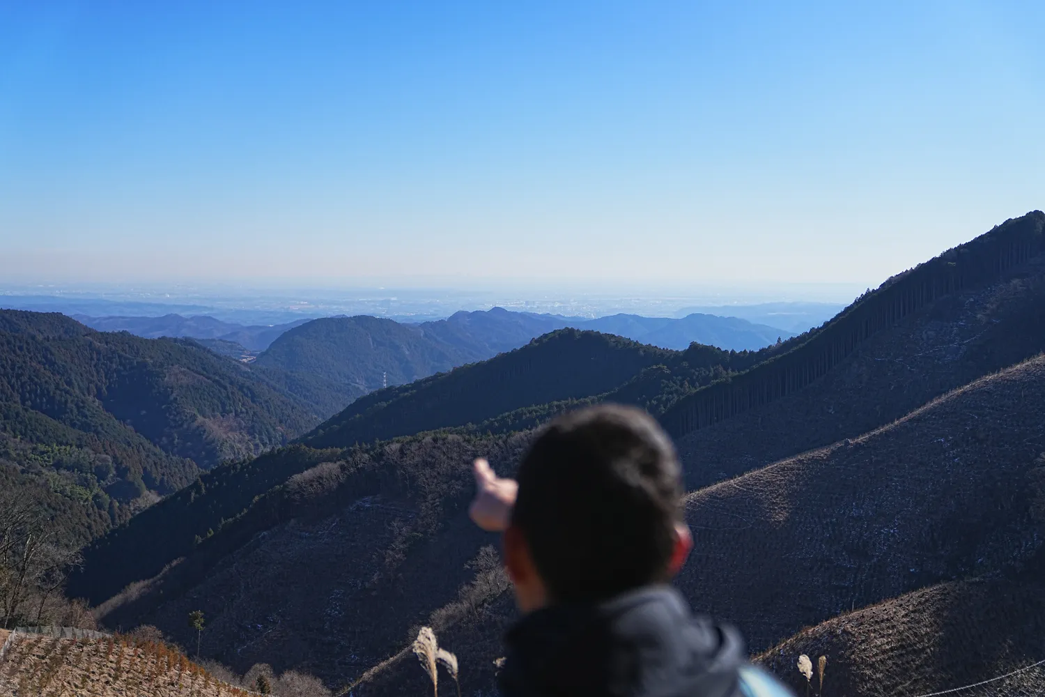 奥多摩 高水三山をのんびりグルッと登山