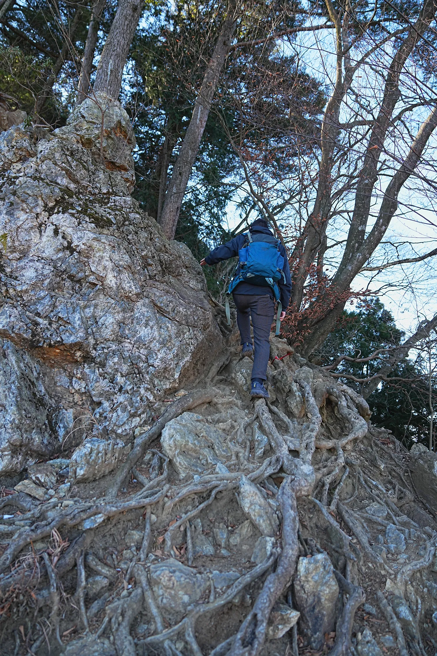 奥多摩 高水三山をのんびりグルッと登山