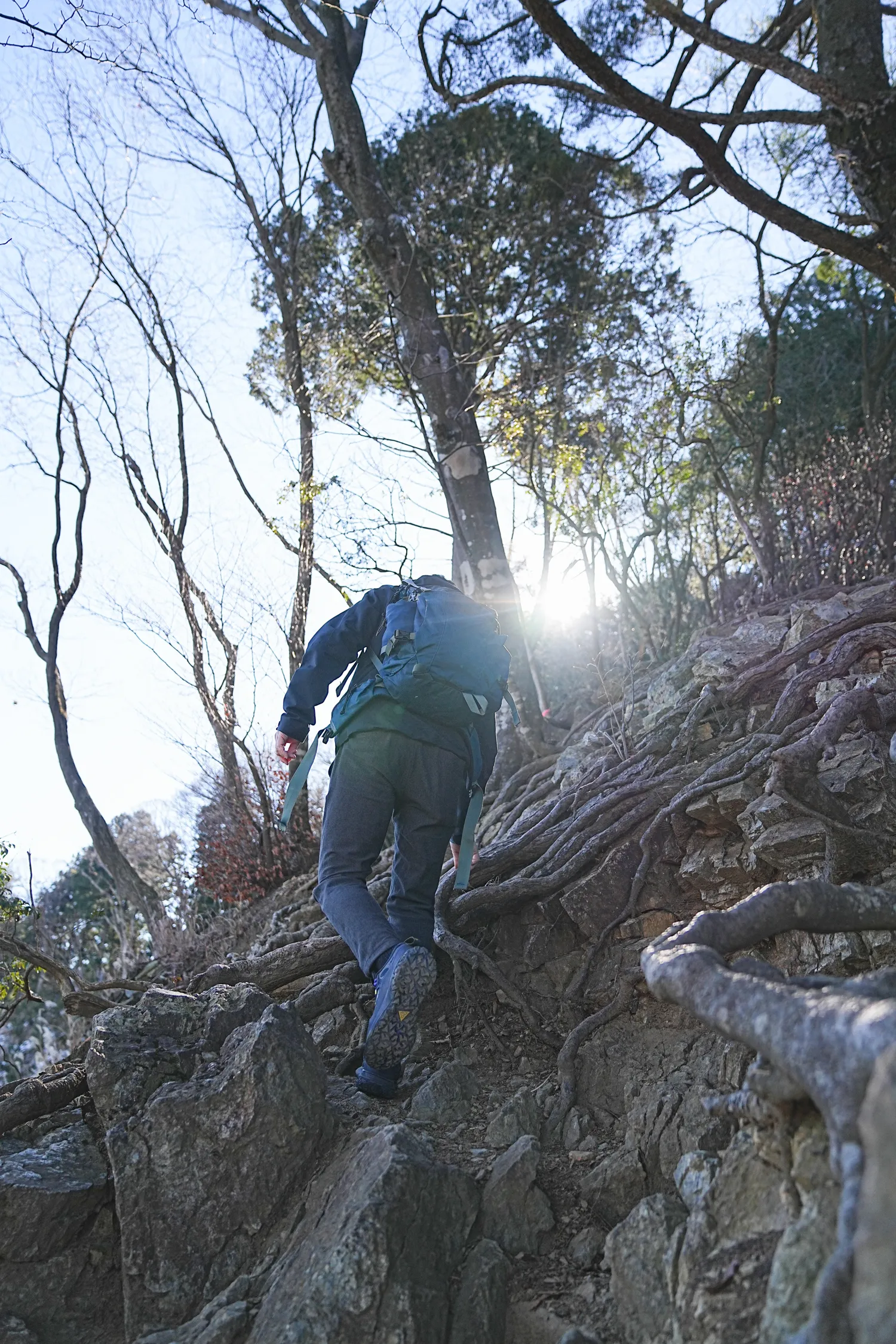 奥多摩 高水三山をのんびりグルッと登山