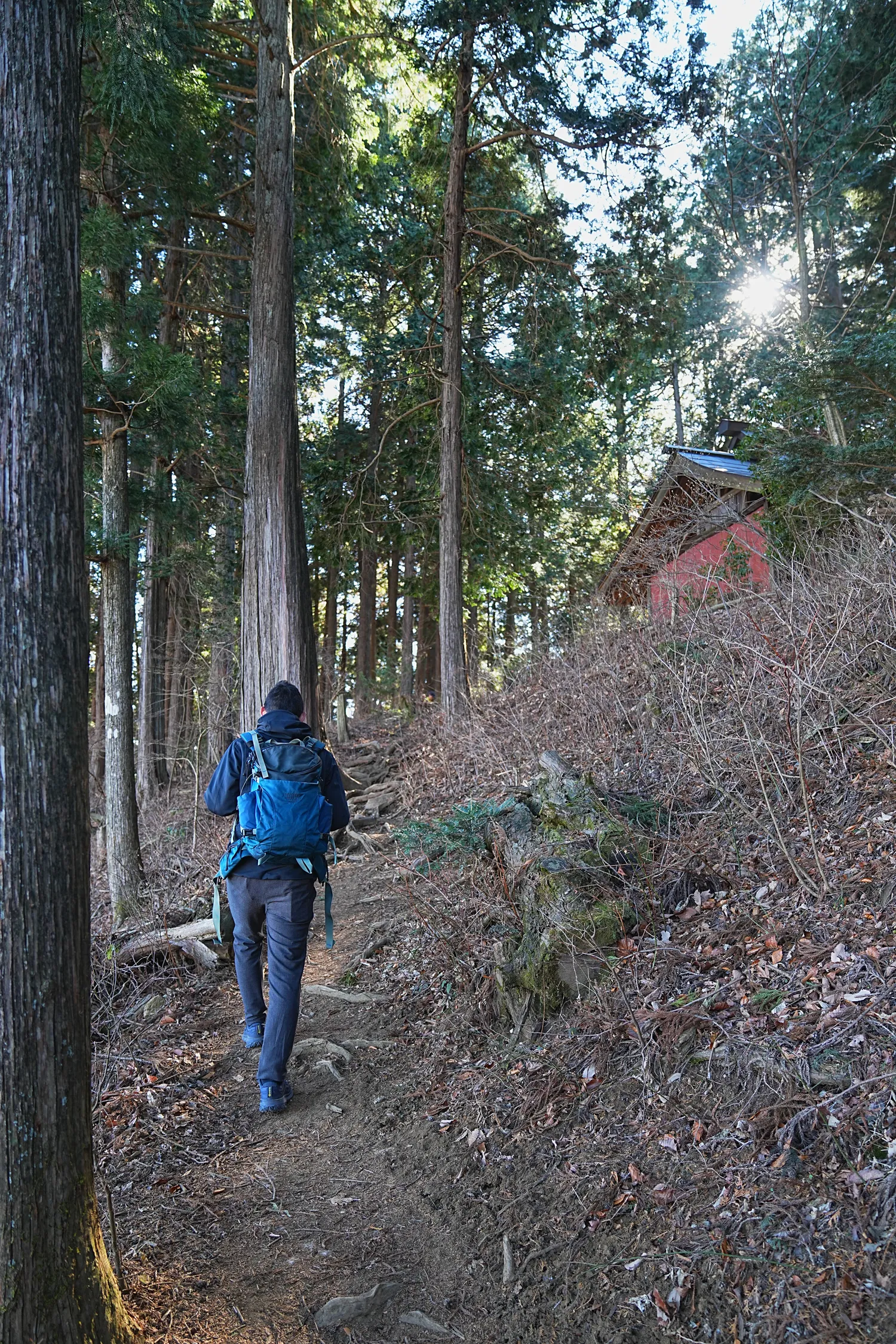 奥多摩 高水三山をのんびりグルッと登山