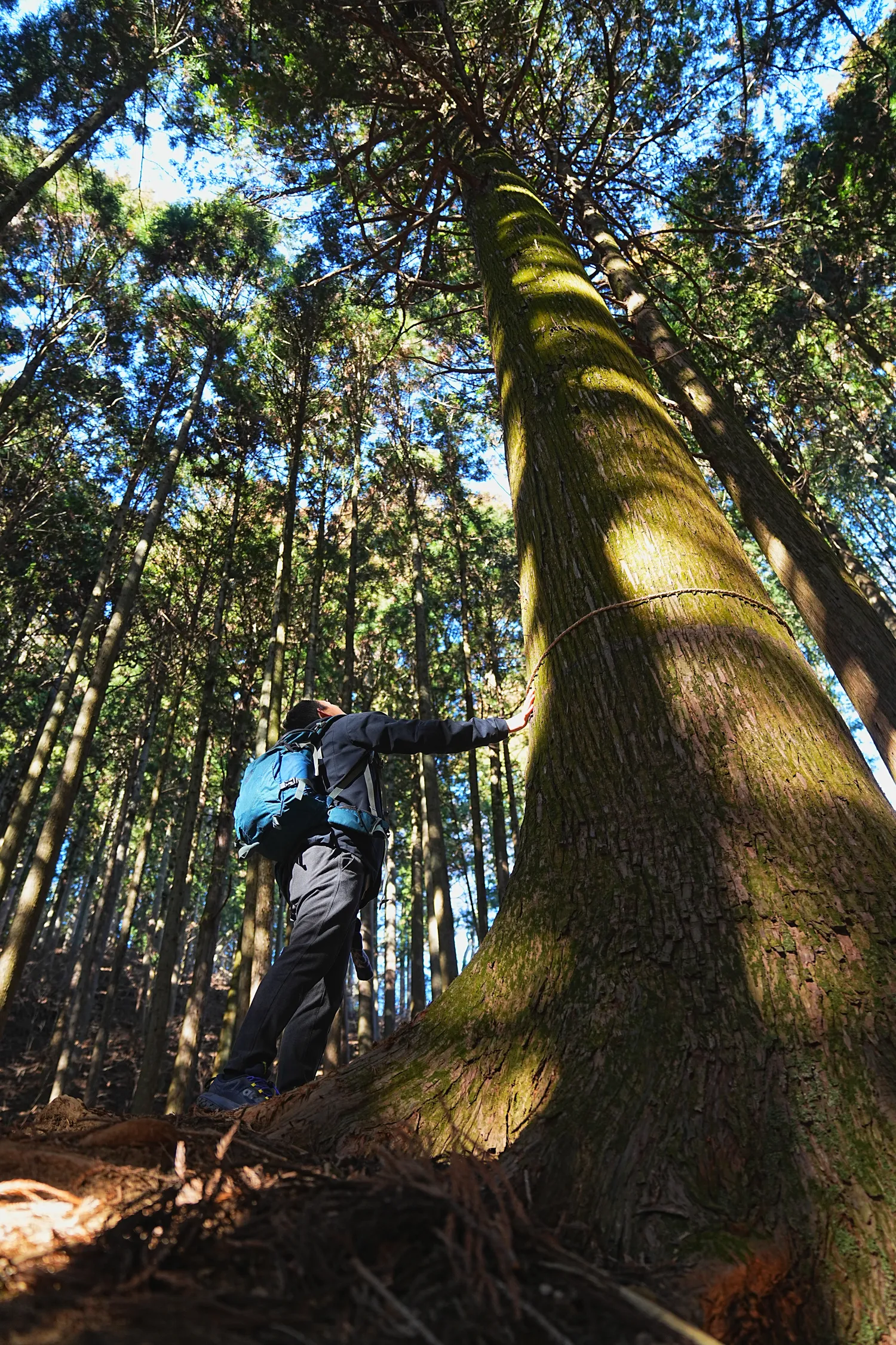 奥多摩 高水三山をのんびりグルッと登山