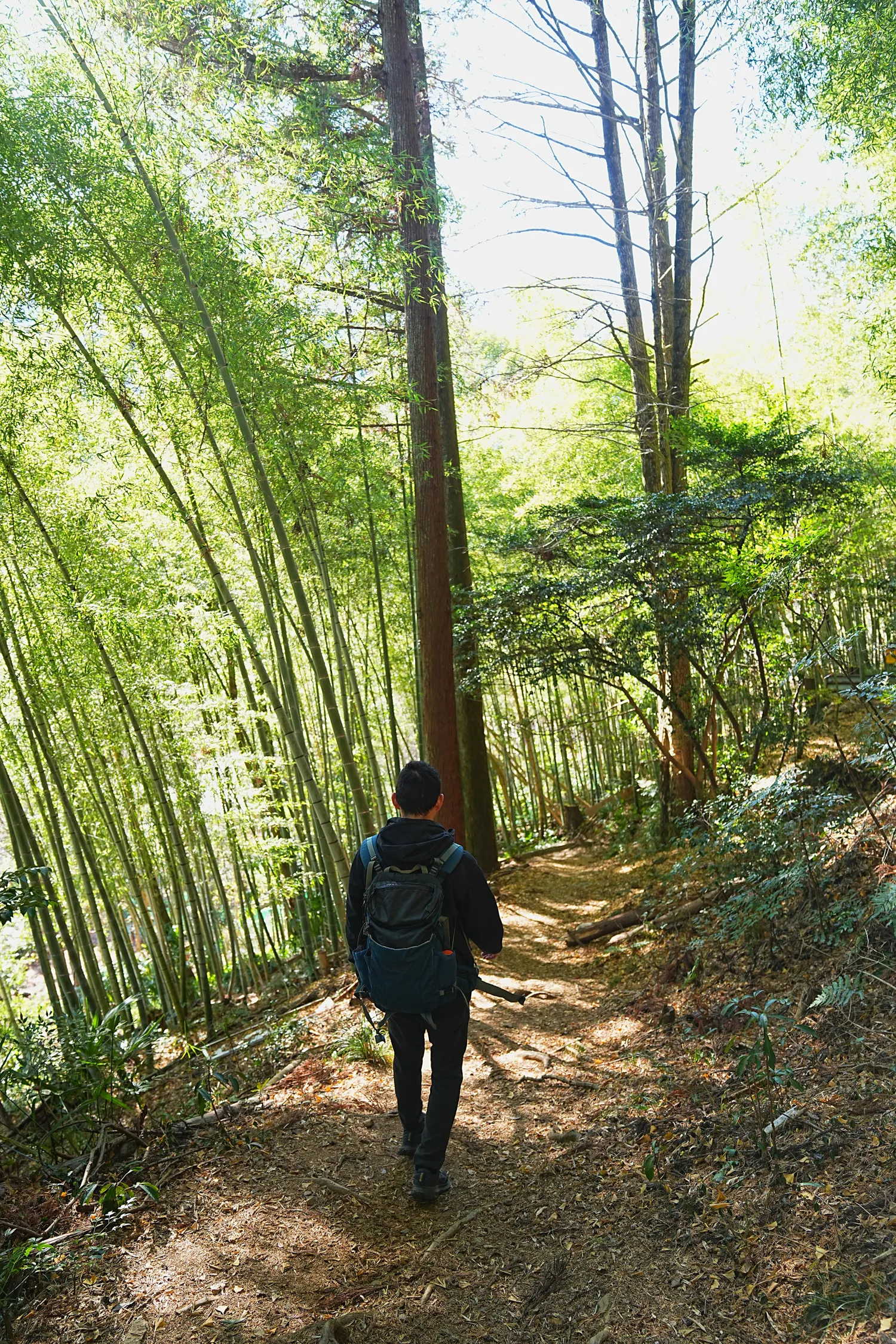 奥多摩 高水三山をのんびりグルッと登山