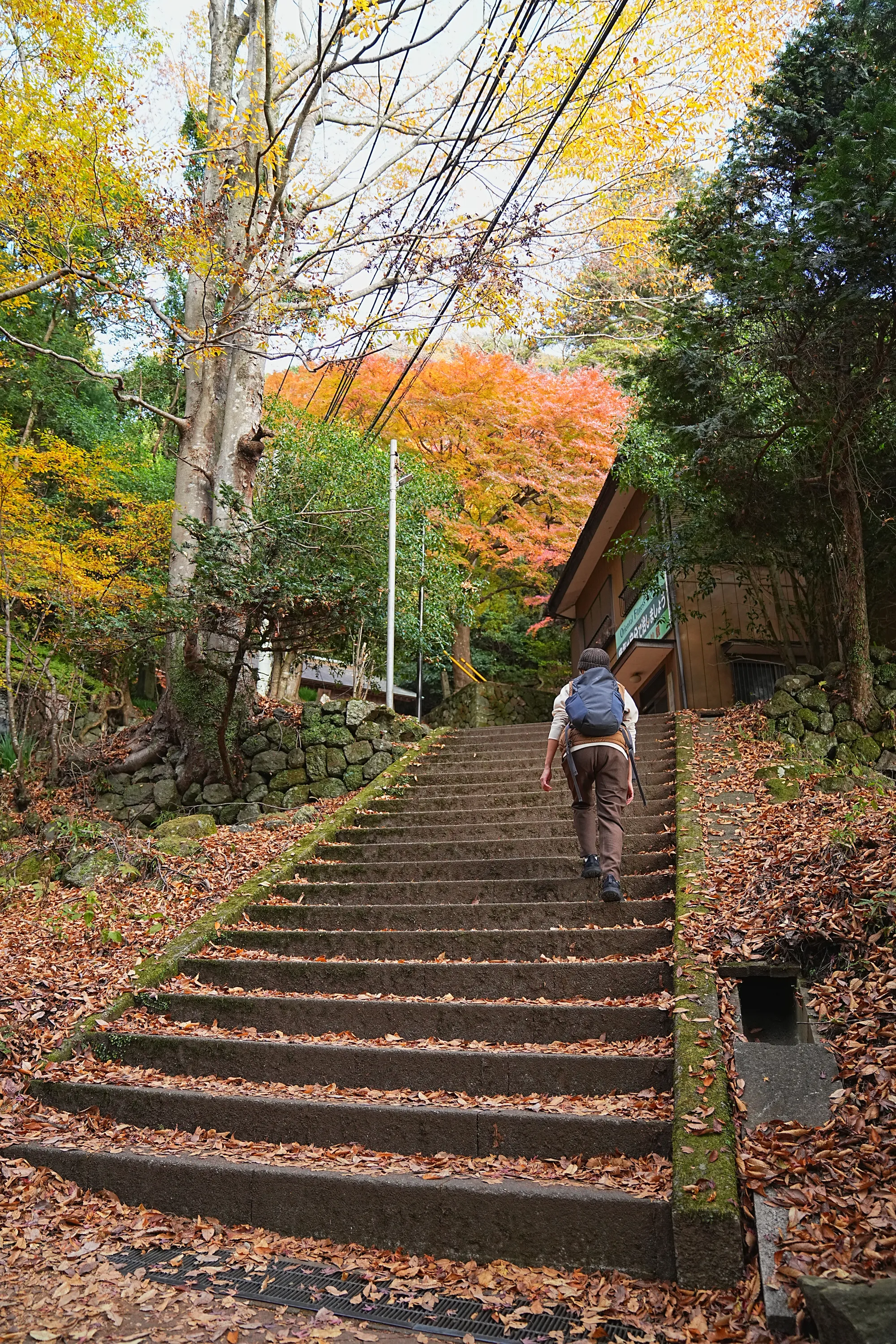 紅葉の丹沢・大山。のんびり紅葉登山。