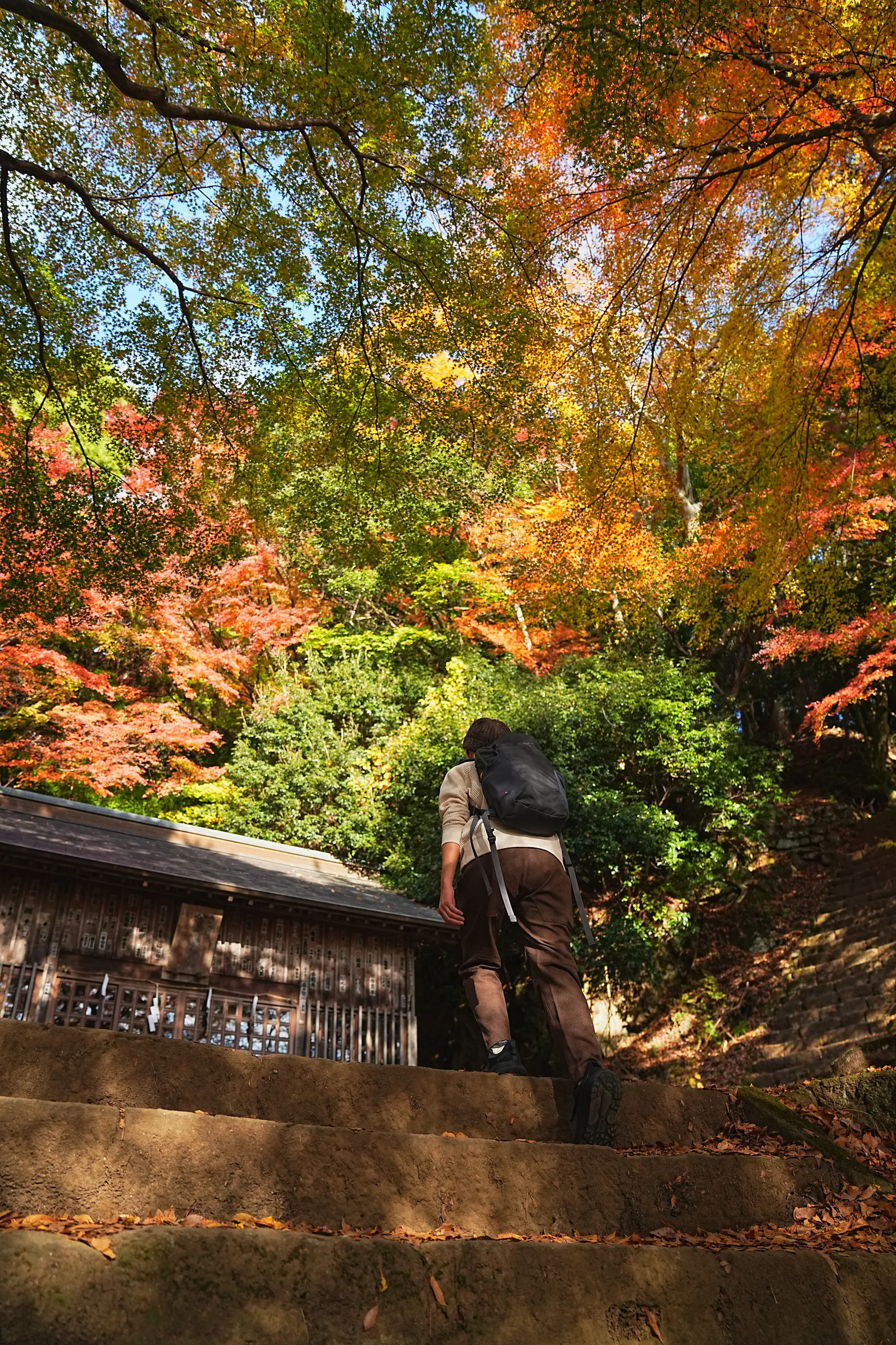 紅葉の丹沢・大山。のんびり紅葉登山。