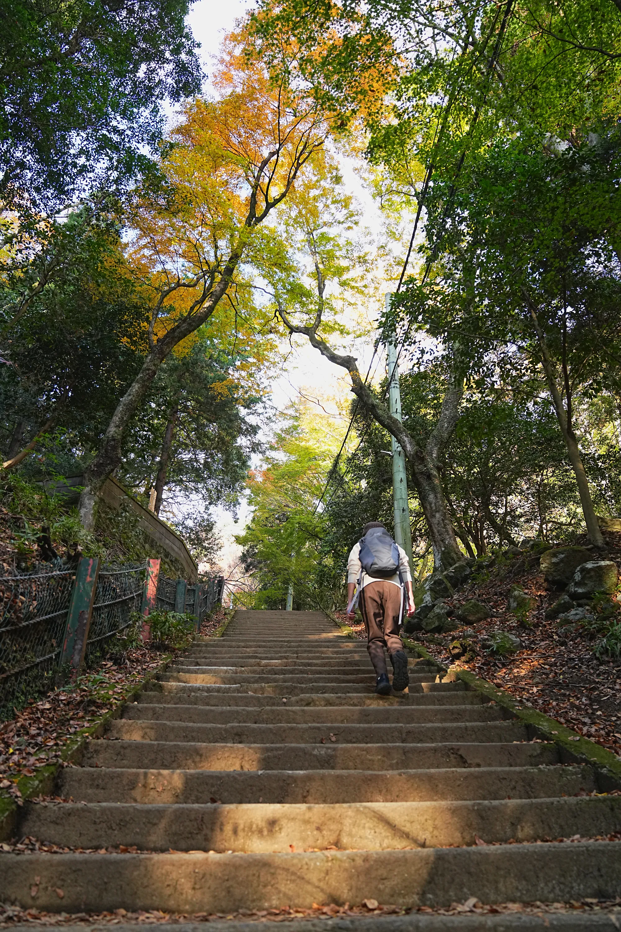 紅葉の丹沢・大山。のんびり紅葉登山。