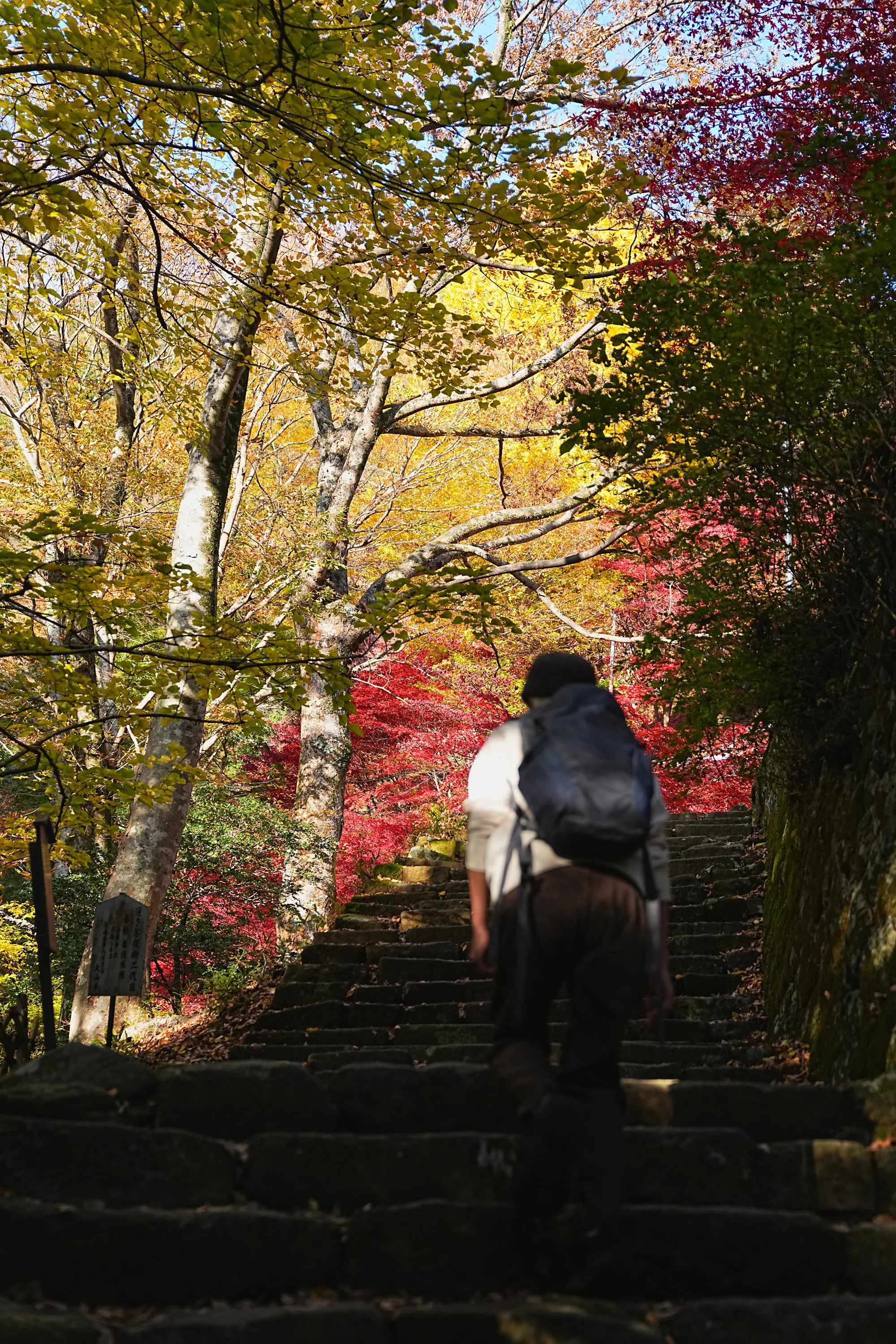 紅葉の丹沢・大山。のんびり紅葉登山。