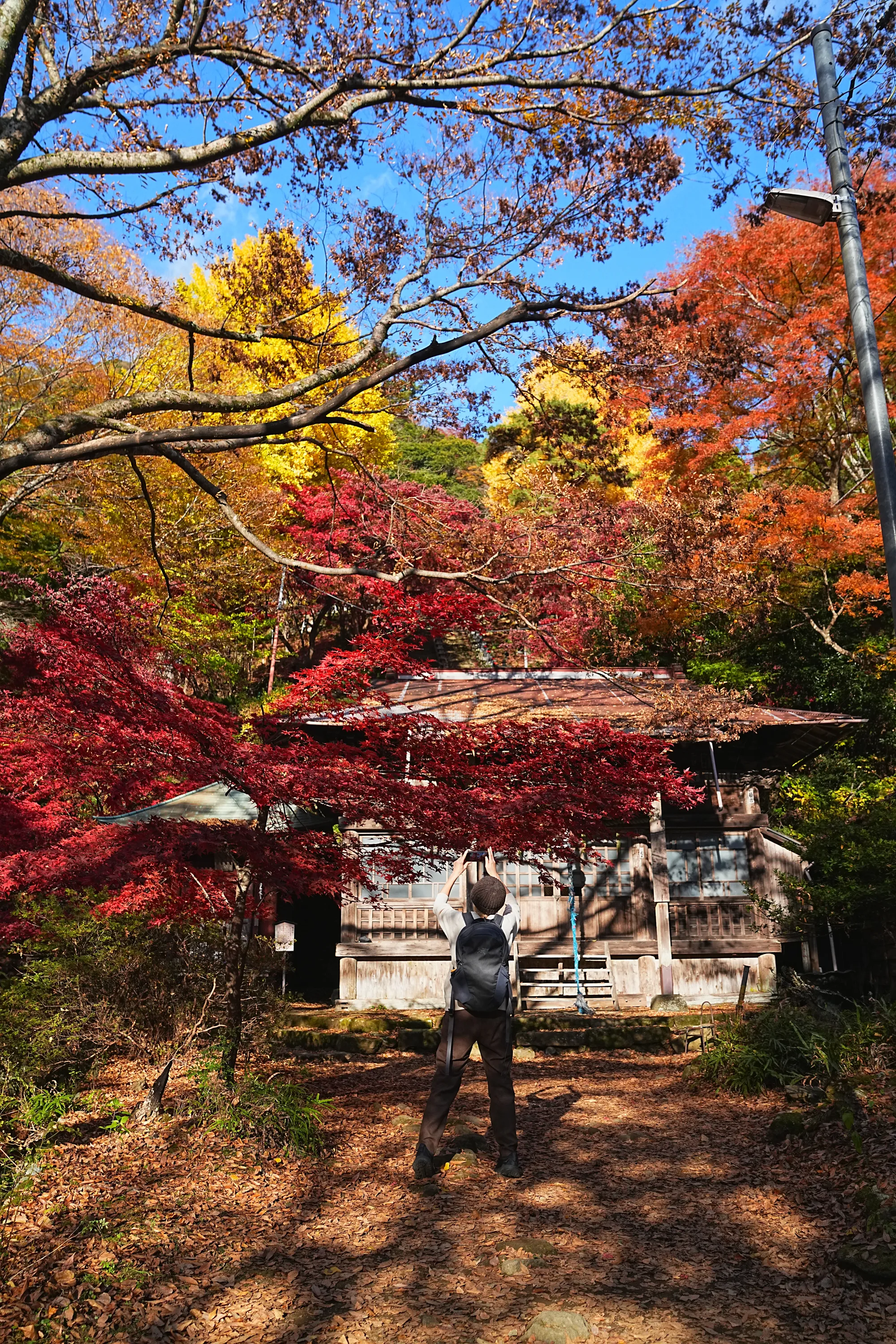 紅葉の丹沢・大山。のんびり紅葉登山。