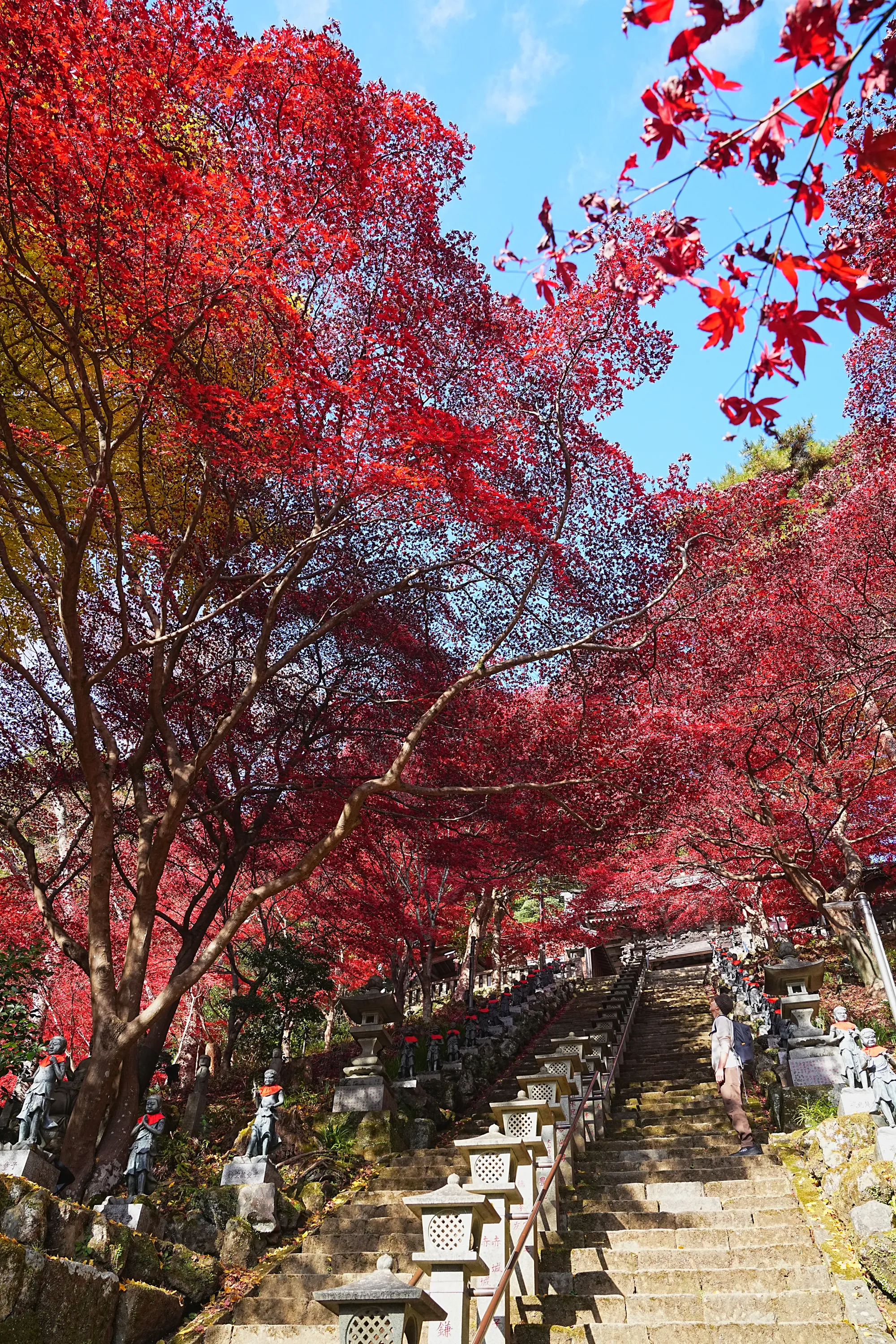 紅葉の丹沢・大山。のんびり紅葉登山。