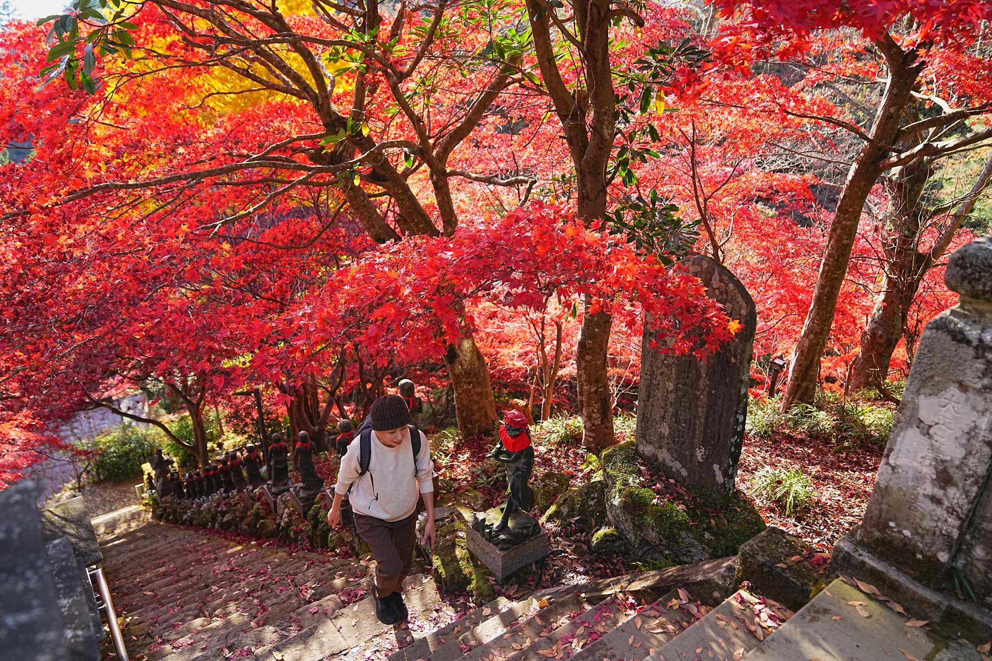 紅葉の丹沢・大山。のんびり紅葉登山。