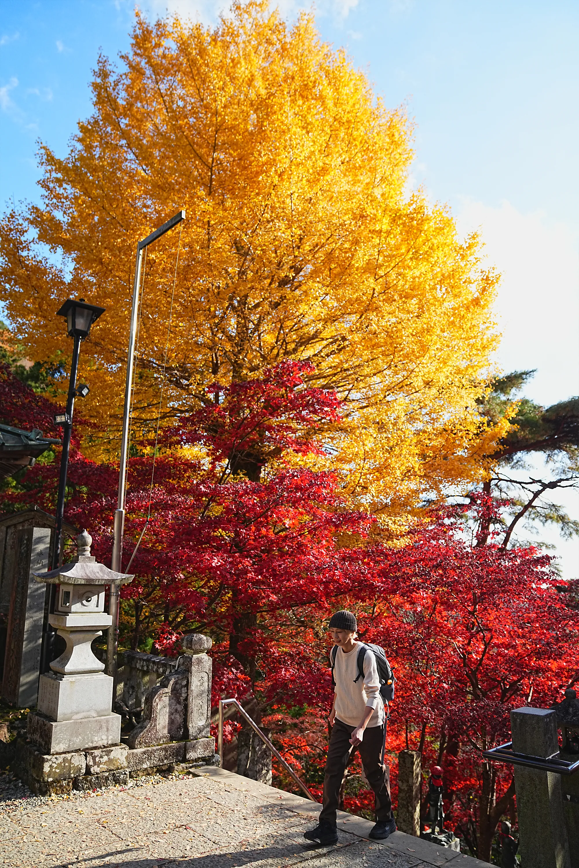 紅葉の丹沢・大山。のんびり紅葉登山。