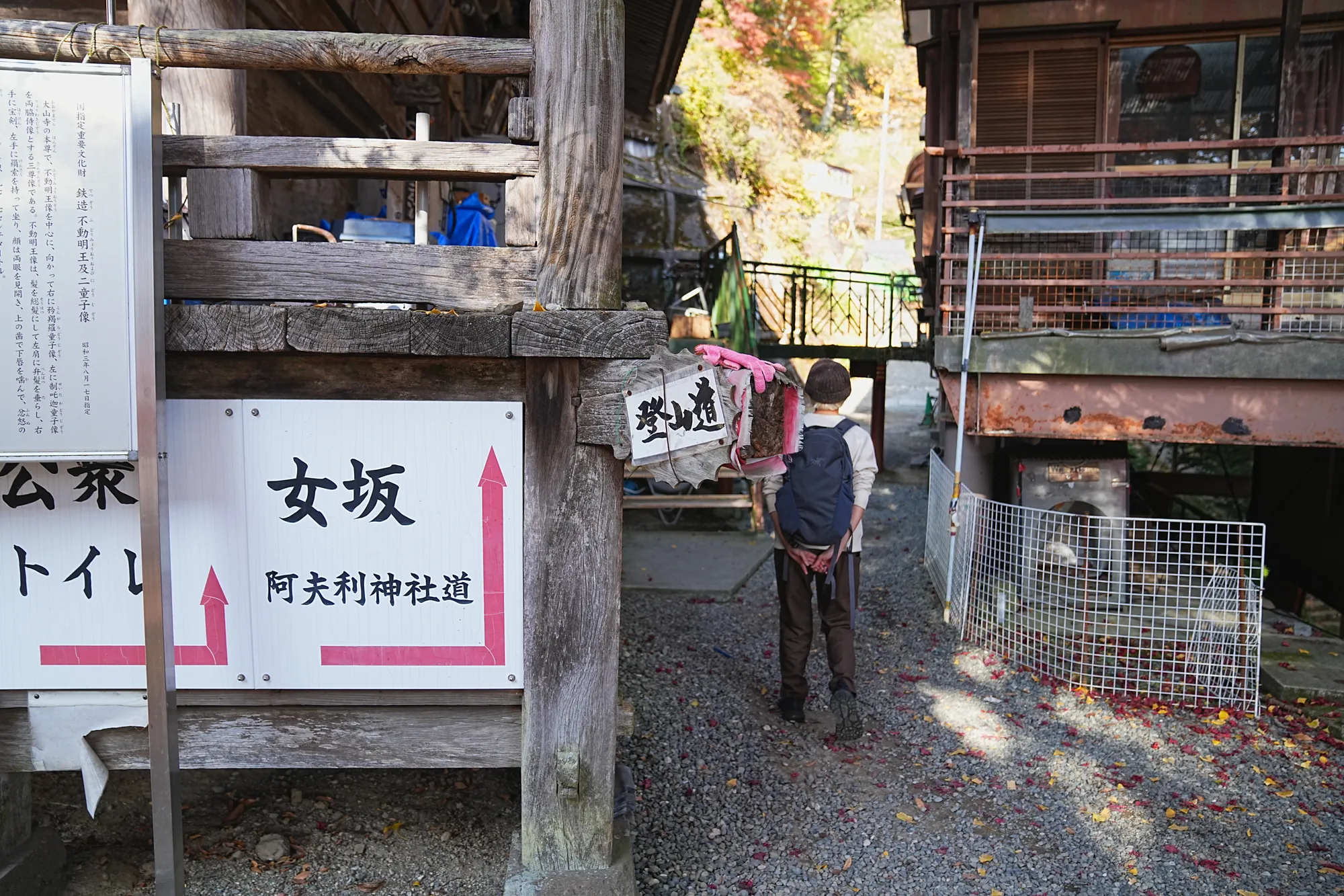 紅葉の丹沢・大山。のんびり紅葉登山。