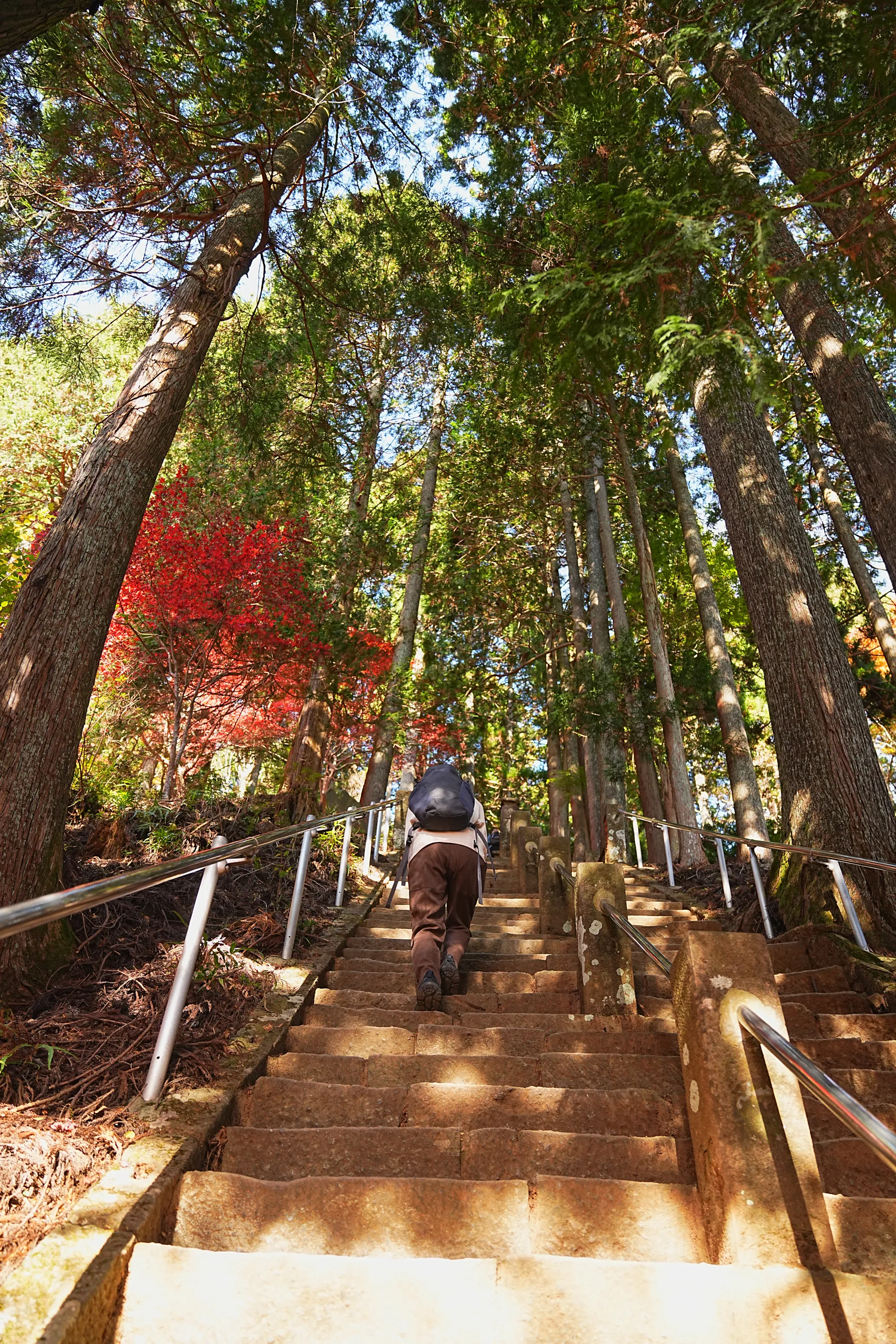 紅葉の丹沢・大山。のんびり紅葉登山。