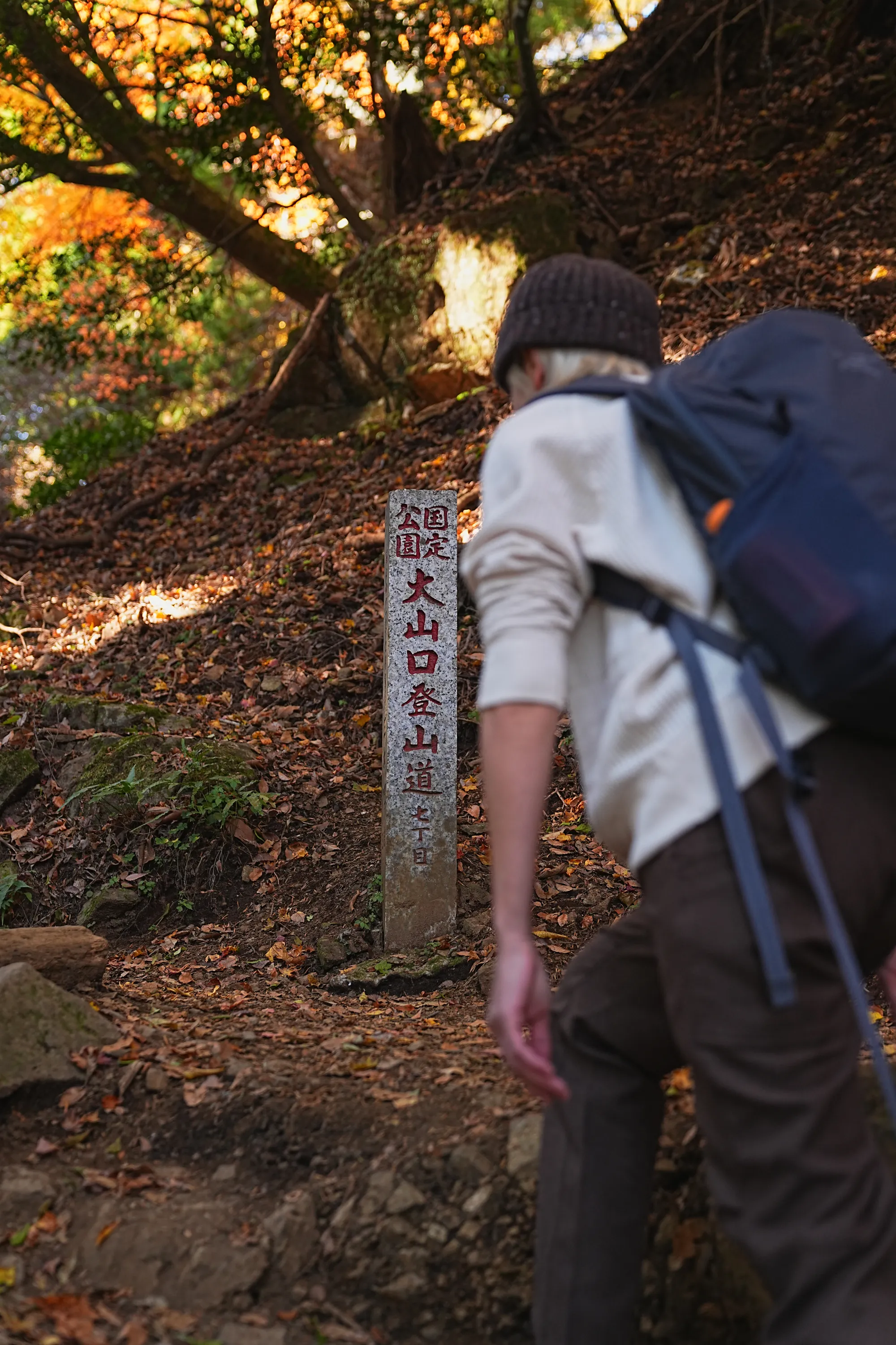 紅葉の丹沢・大山。のんびり紅葉登山。