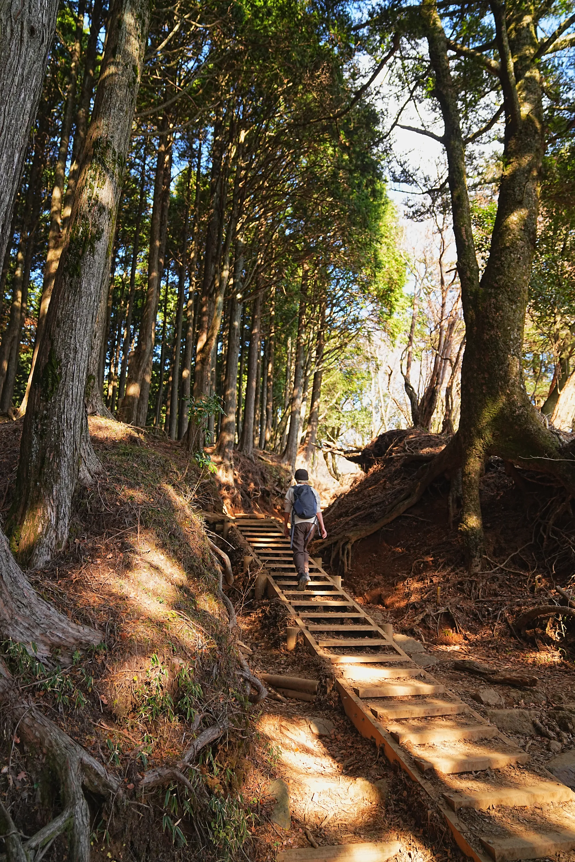 紅葉の丹沢・大山。のんびり紅葉登山。