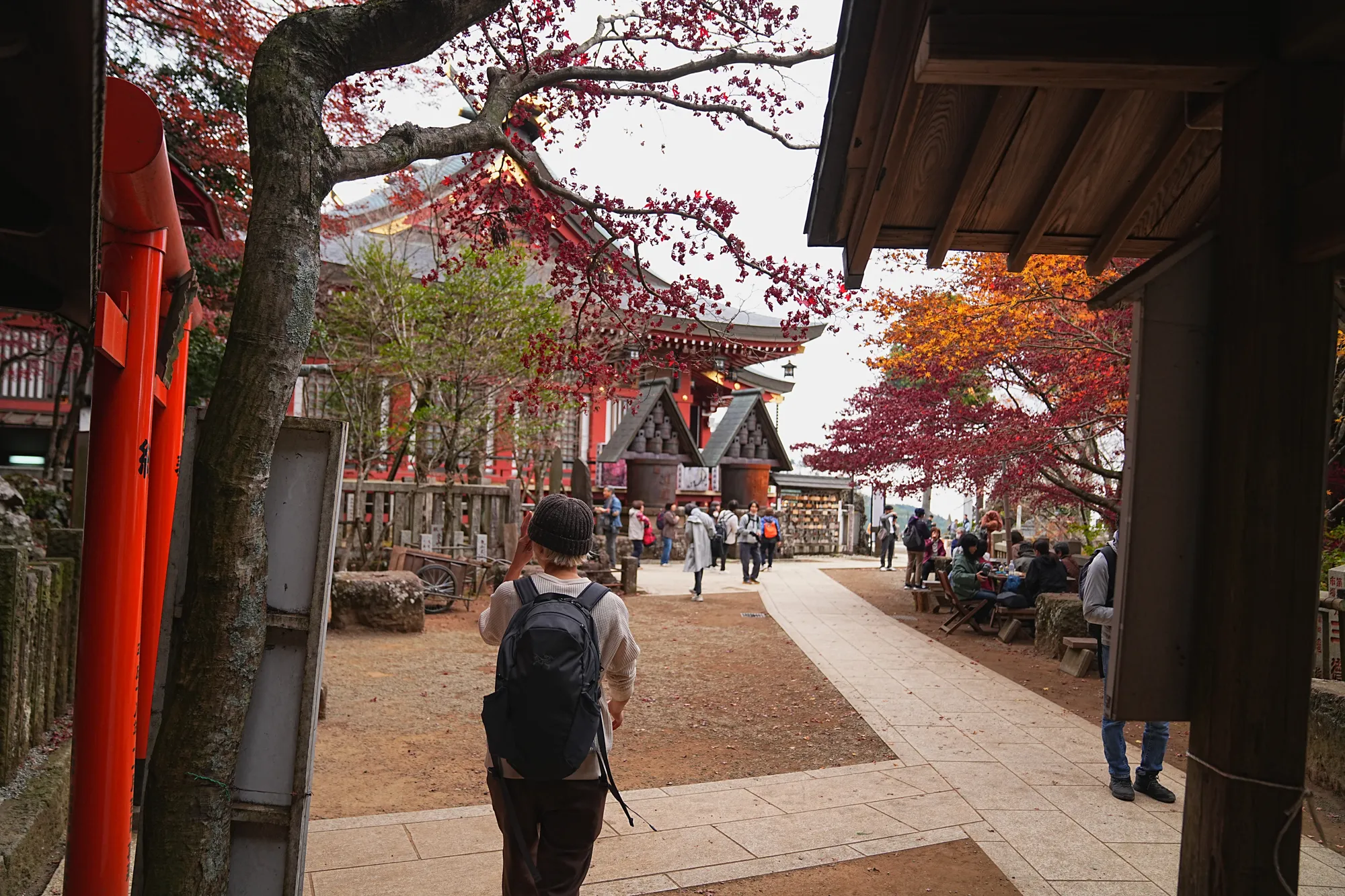 紅葉の丹沢・大山。のんびり紅葉登山。