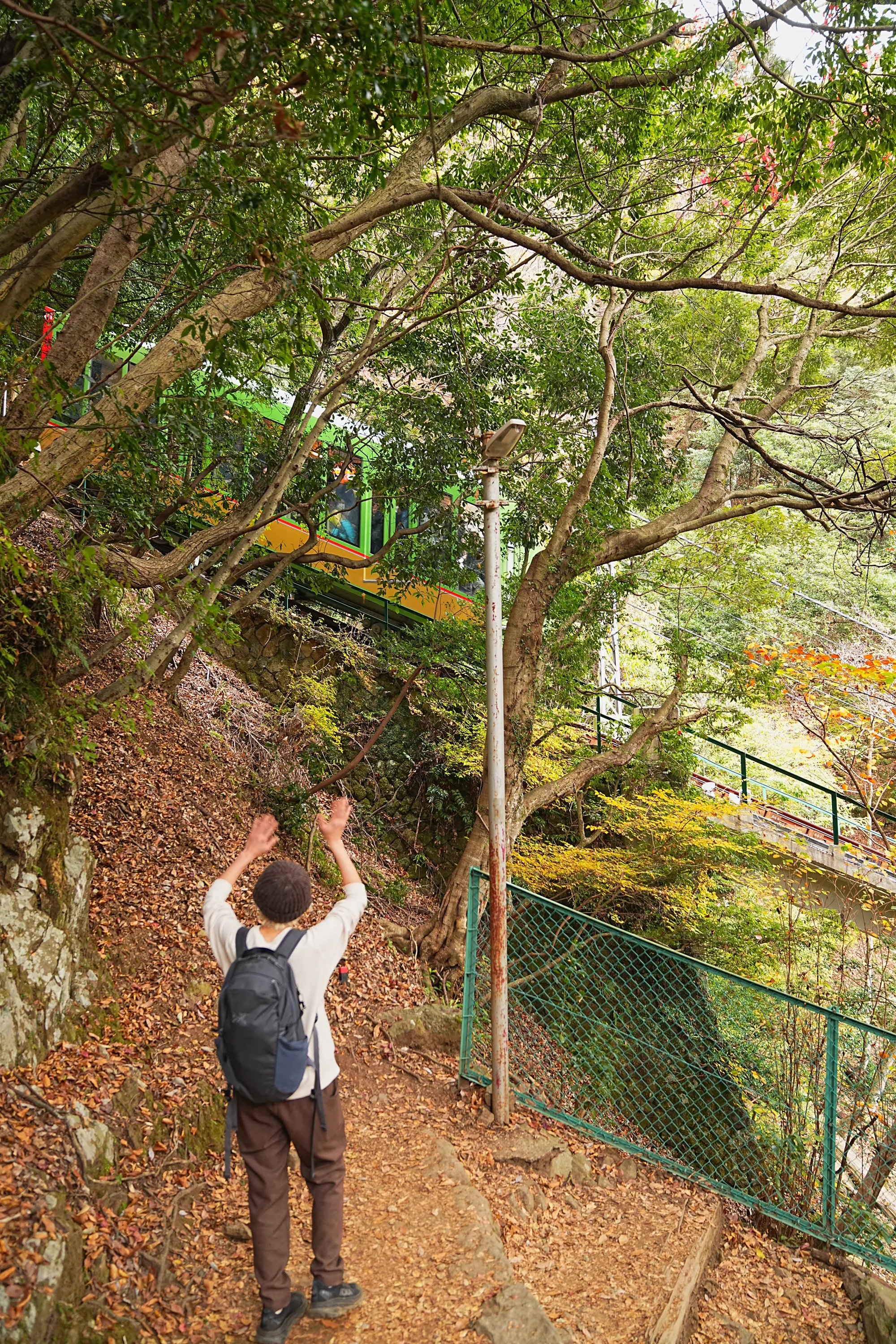 紅葉の丹沢・大山。のんびり紅葉登山。