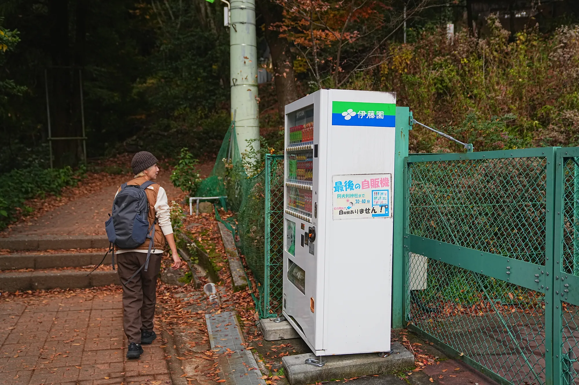 紅葉の丹沢・大山。のんびり紅葉登山。