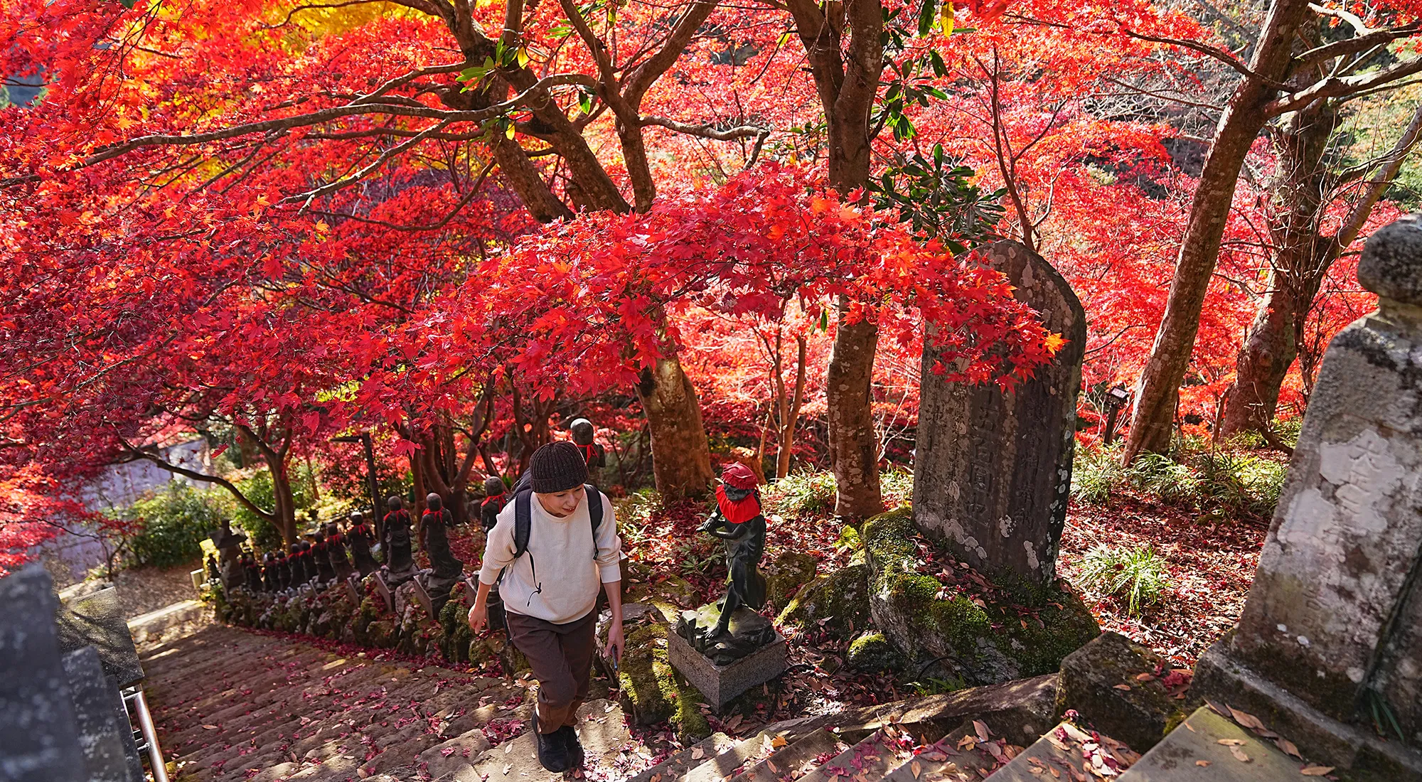 紅葉の丹沢・大山。のんびり紅葉登山。