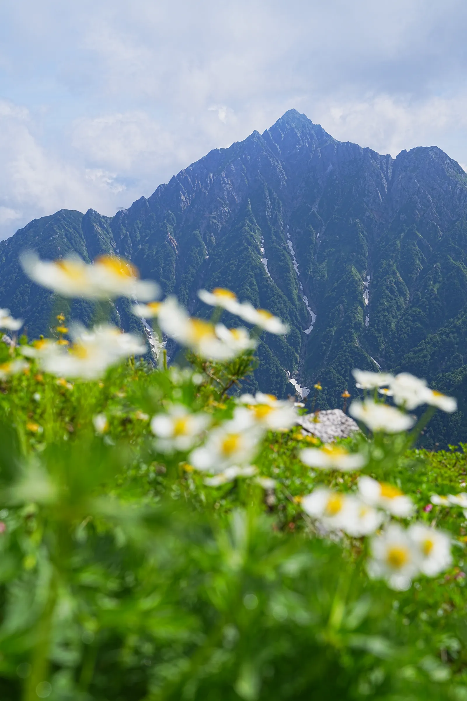 天空の楽園、立山・室堂。天狗平山荘から奥大日岳へ絶景登山。
